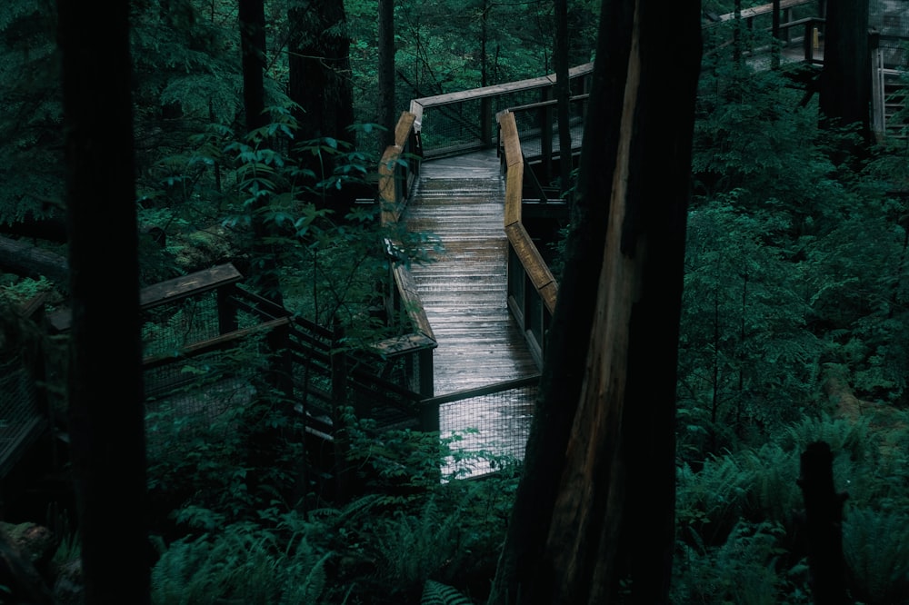 a wooden bridge in the woods