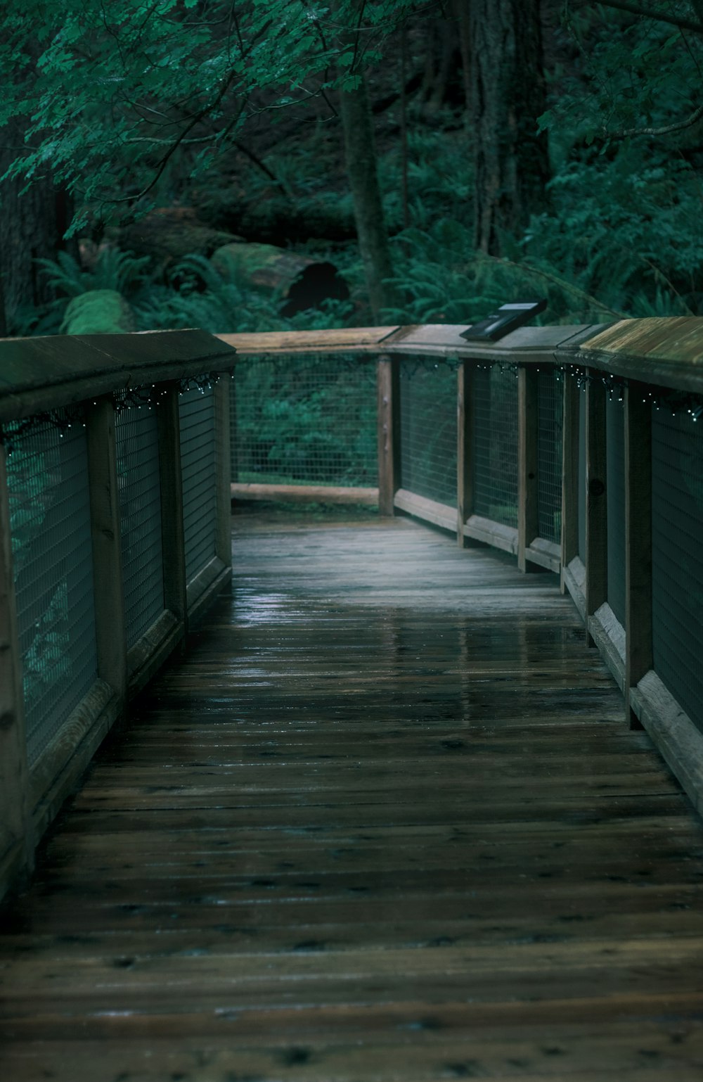 a wooden bridge over water