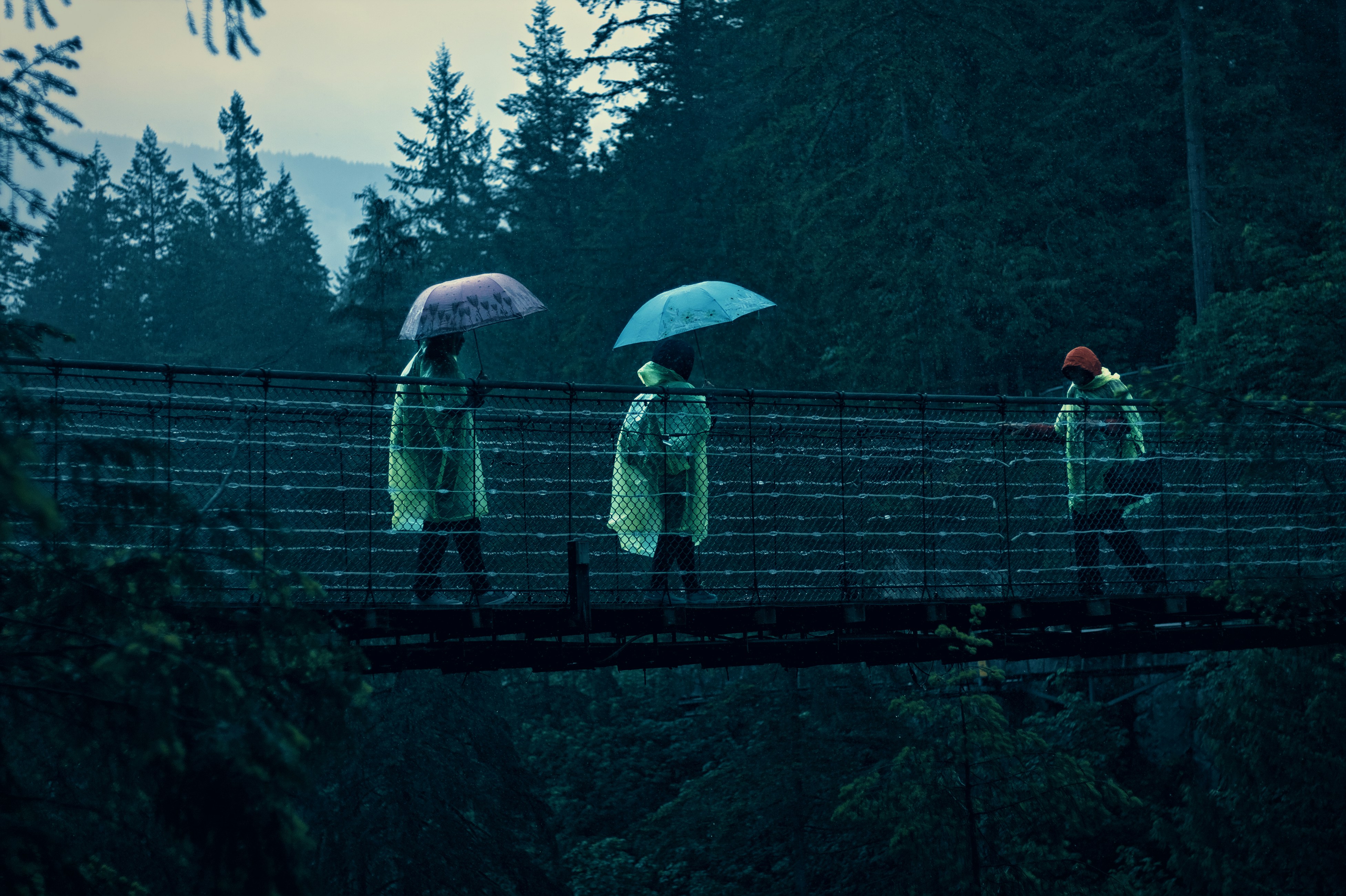 people with umbrellas on a bridge