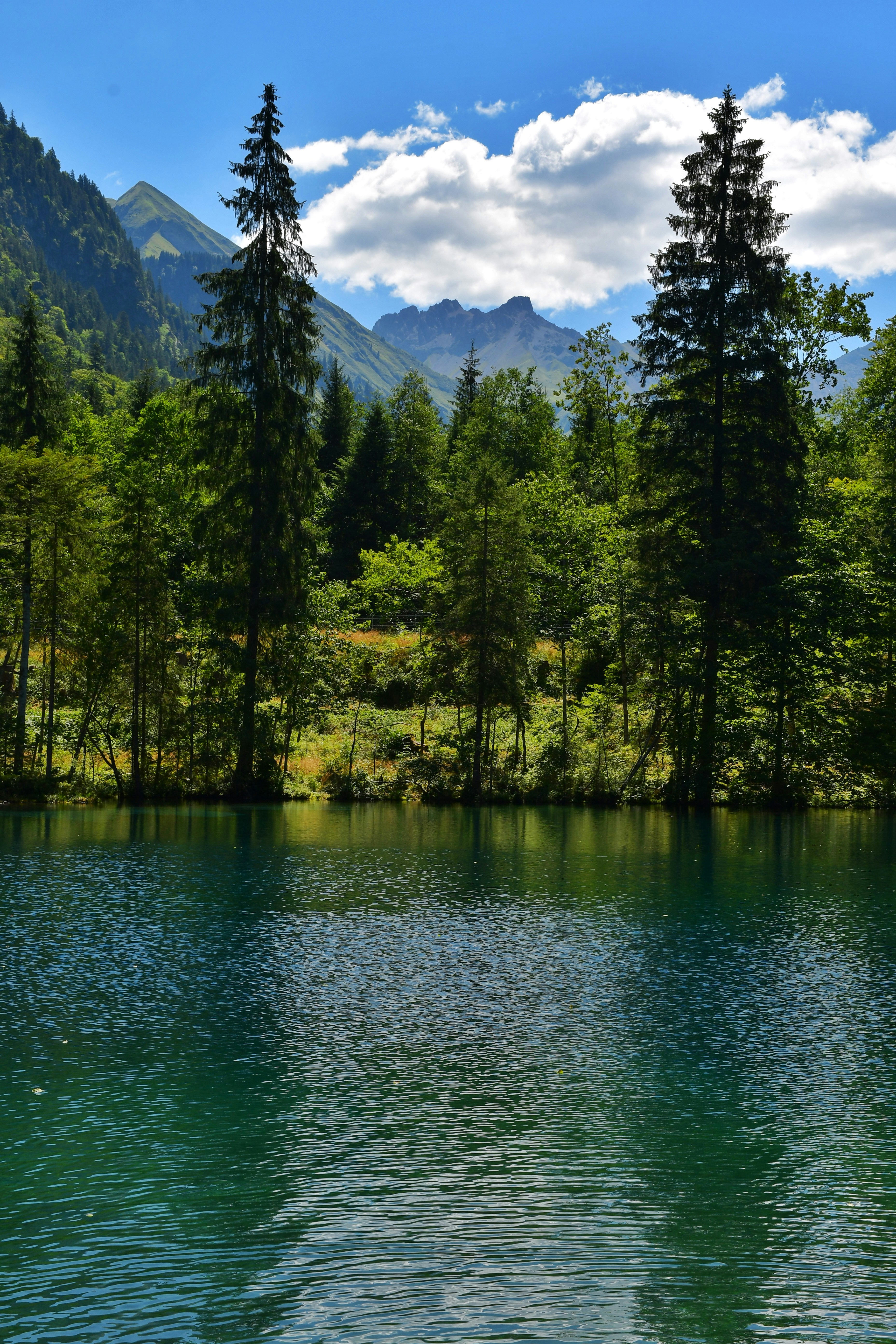 Photo by pedrino5_official