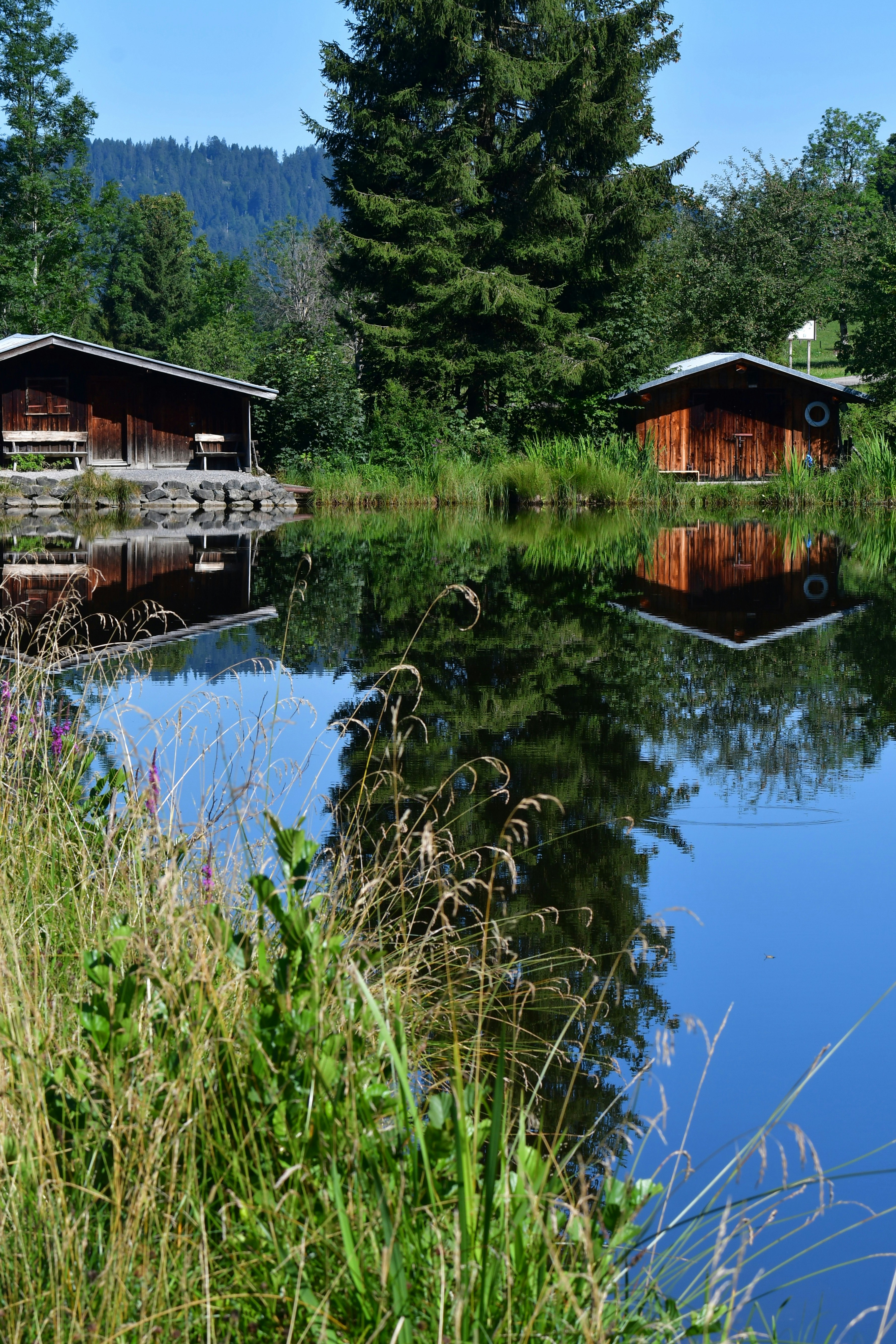 Photo by pedrino5_official