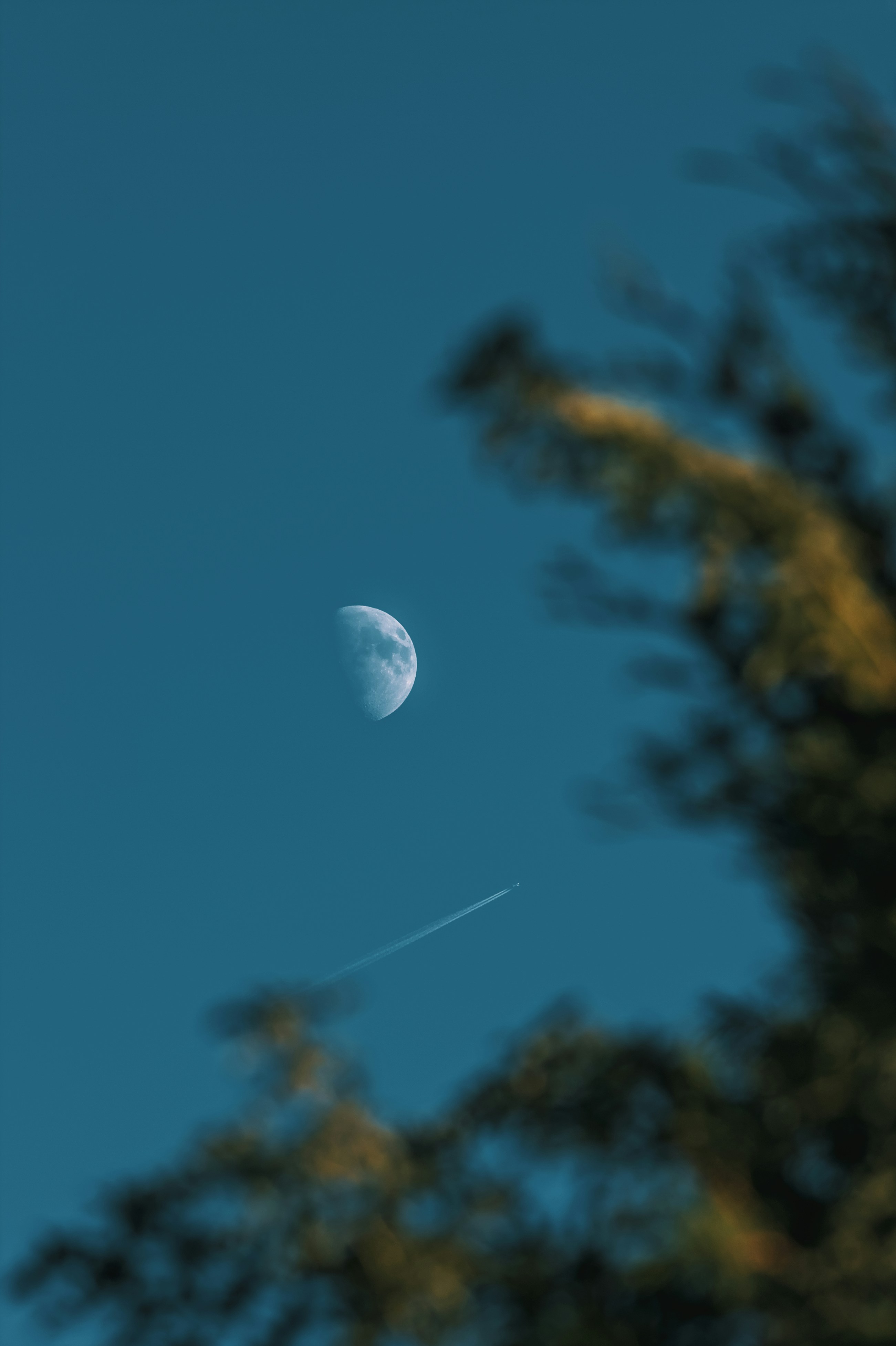 a moon in the sky