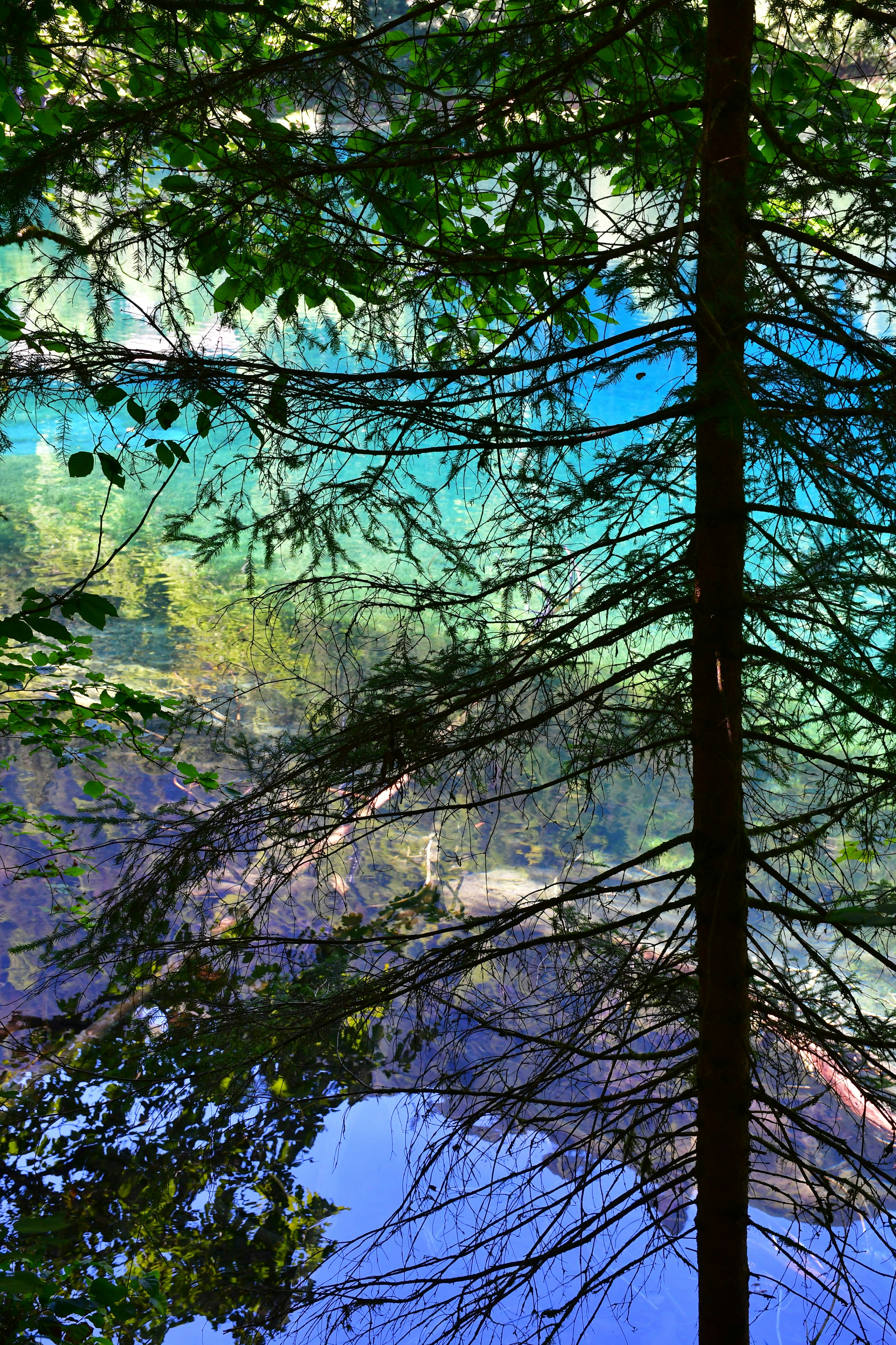 Photo by pedrino5_official