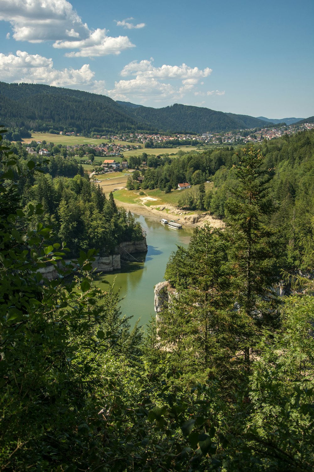 une rivière qui traverse une forêt