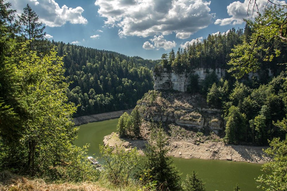 une rivière qui traverse une forêt