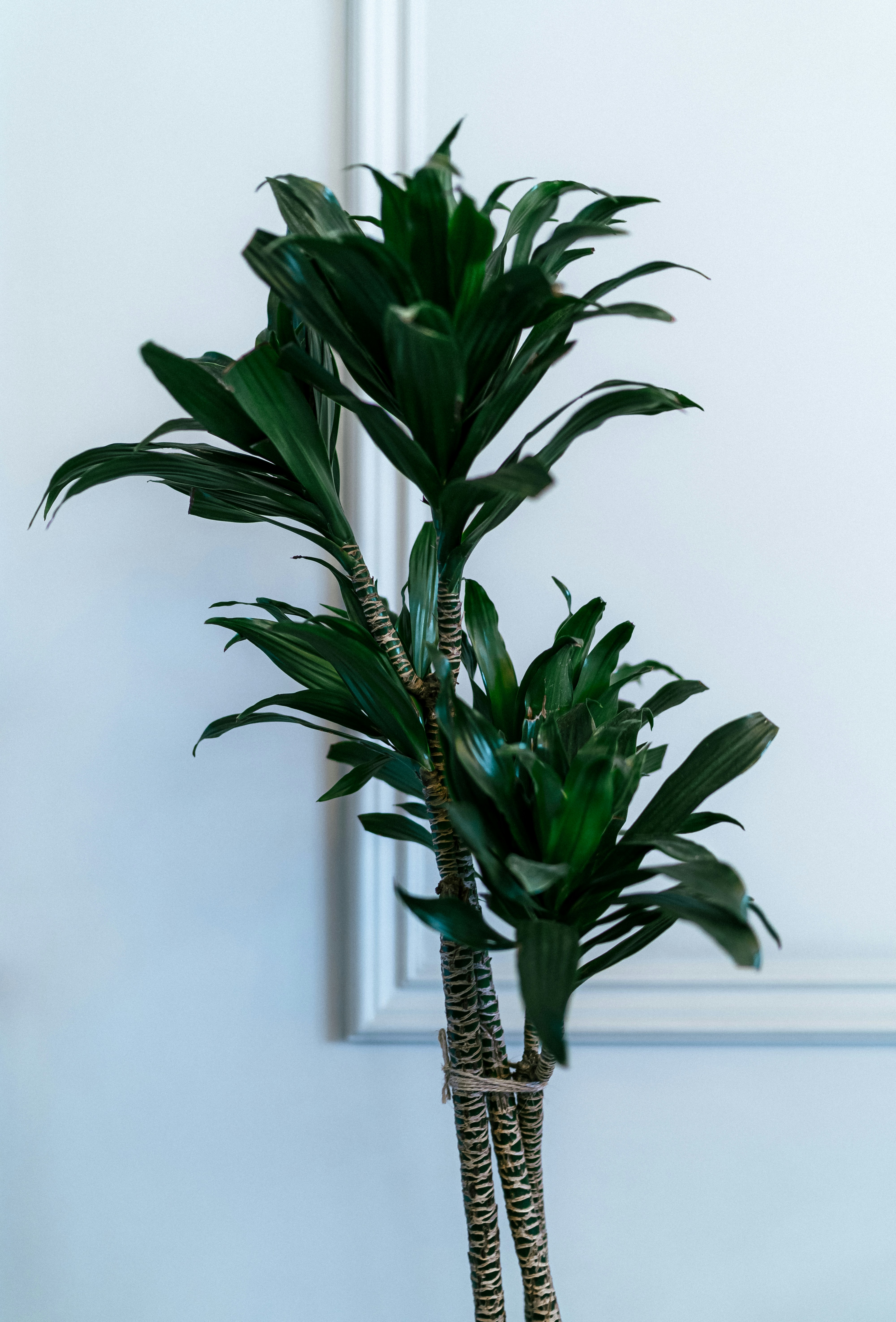 Photo by maksym_tymchyk