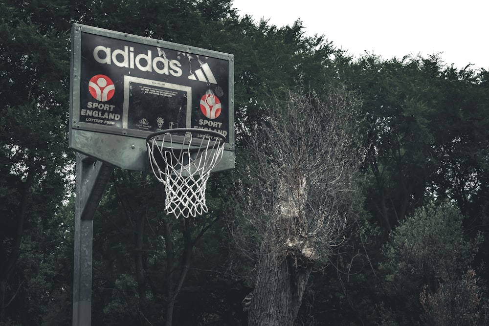 a basketball hoop in front of a tree