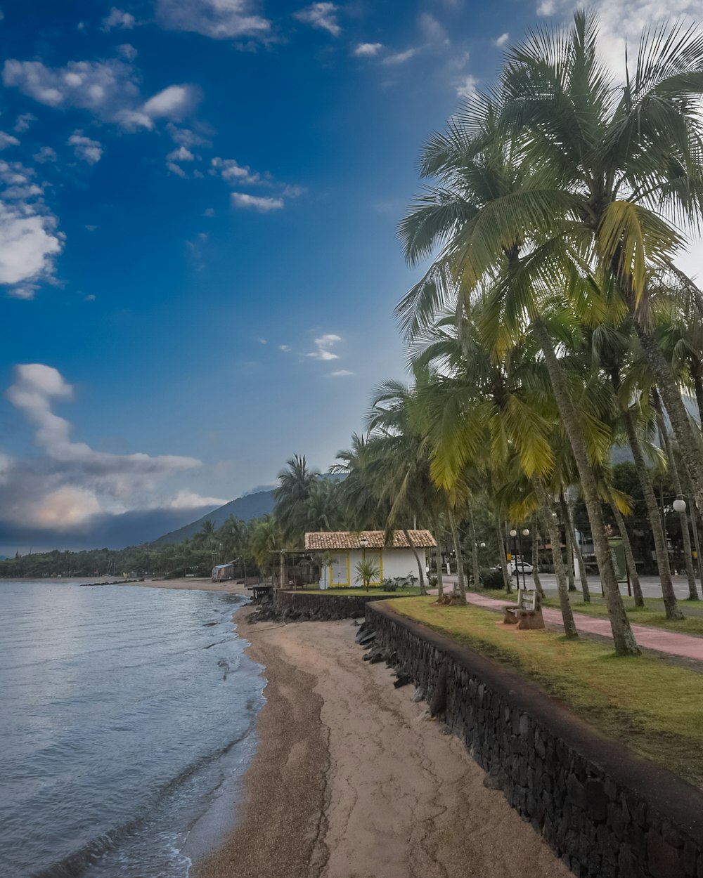 una playa con palmeras y un edificio en la orilla