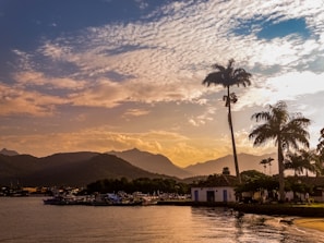 a body of water with palm trees and buildings along it