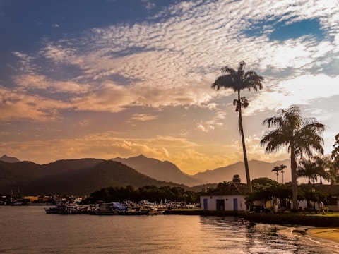 a body of water with palm trees and buildings along it