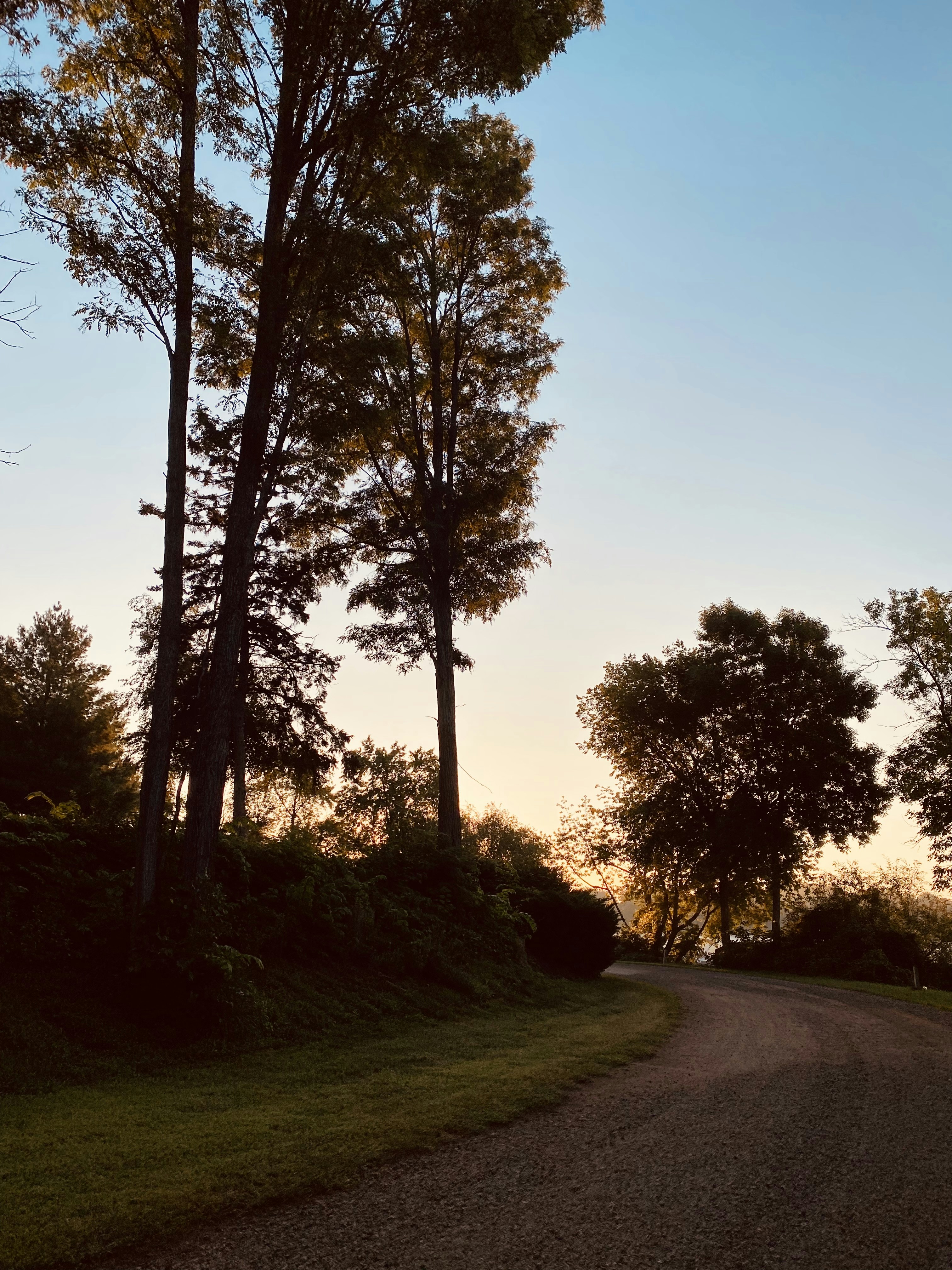 Photo by taylor_friehl