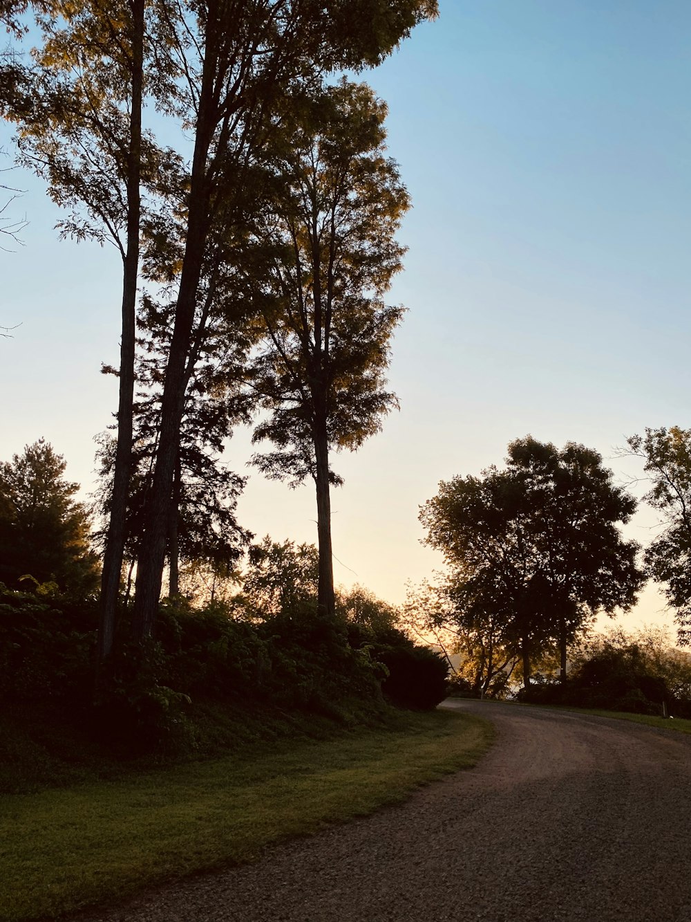 Une route arborée sur le côté