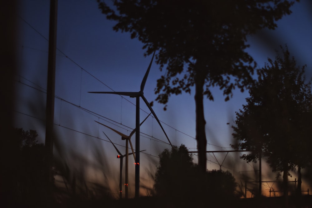 a power line with trees