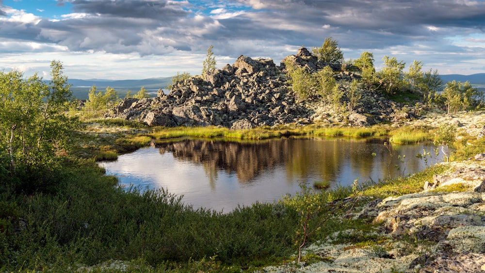 a small pond surrounded by trees