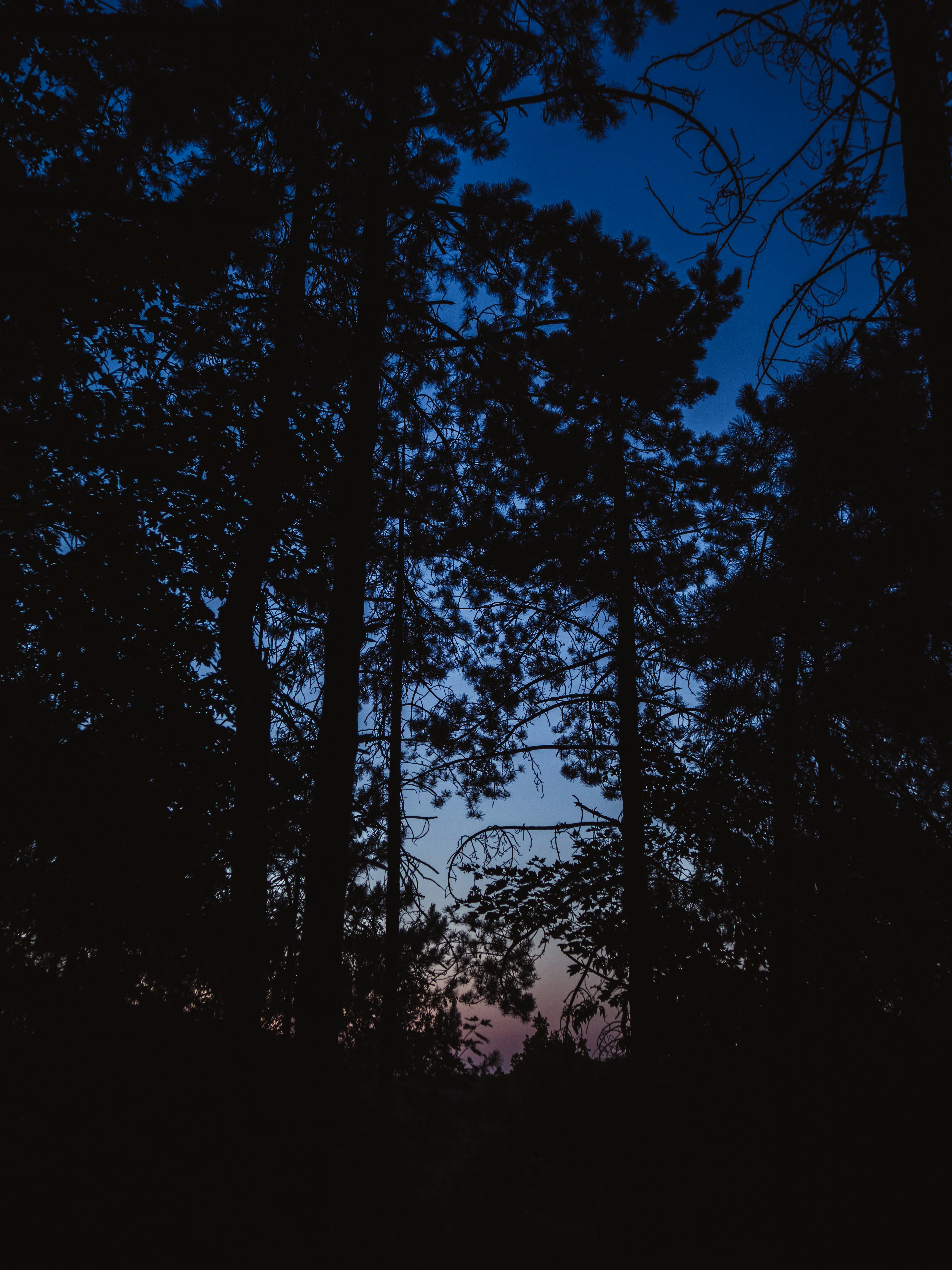 Photo by belhaiza_amine5