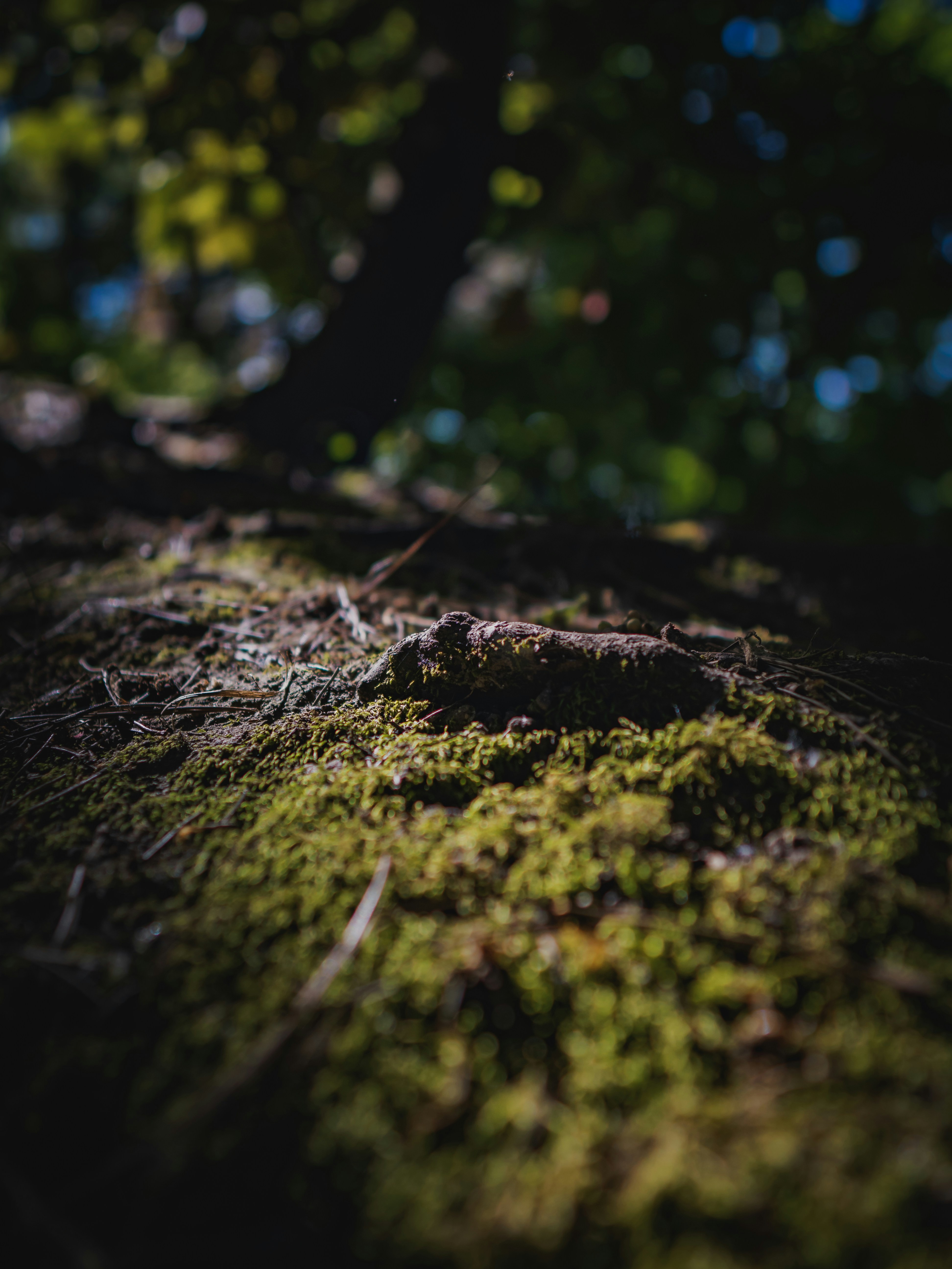 Photo by belhaiza_amine5