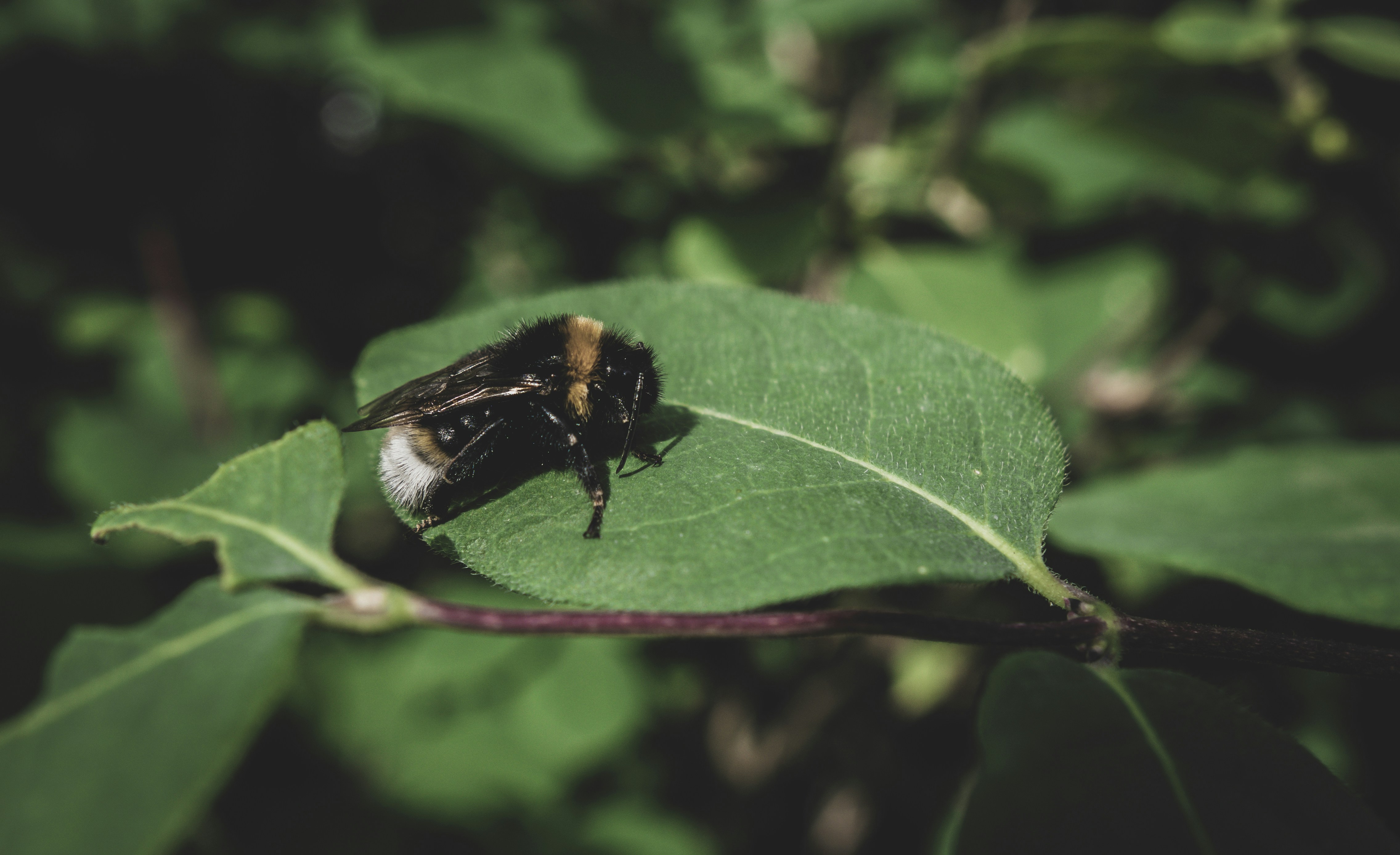 Photo by belhaiza_amine5