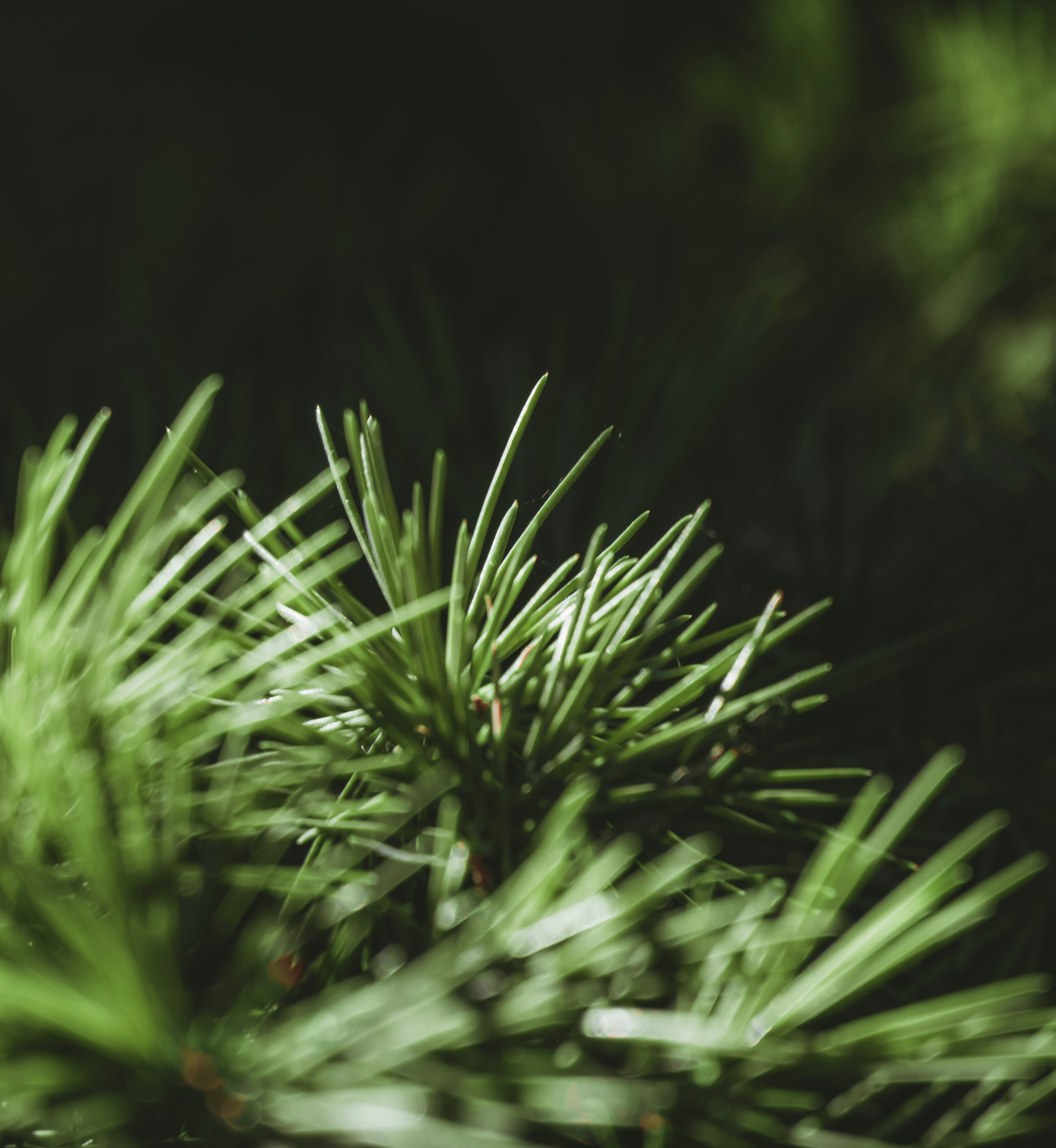 Photo by belhaiza_amine5