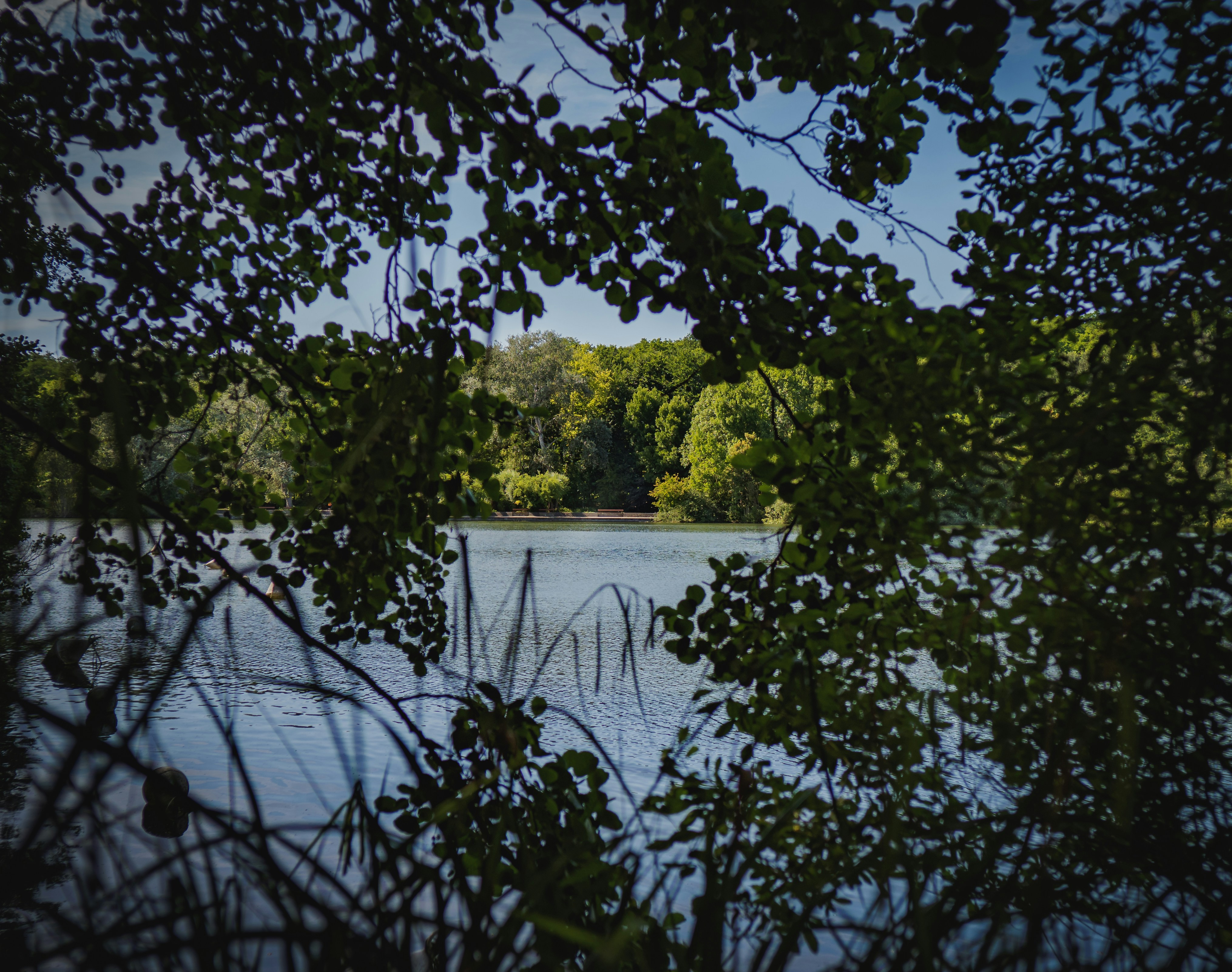 Photo by belhaiza_amine5