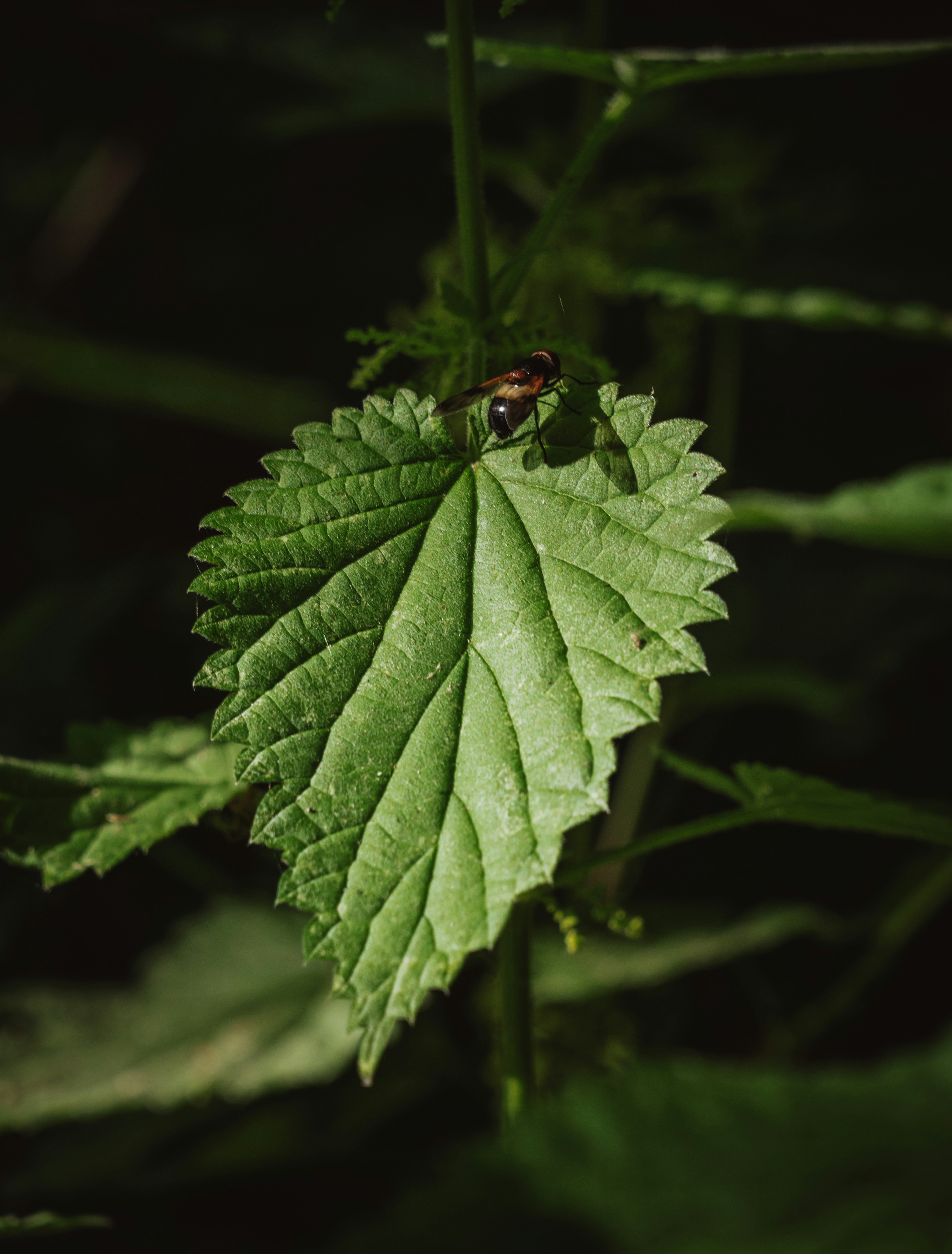 Photo by belhaiza_amine5