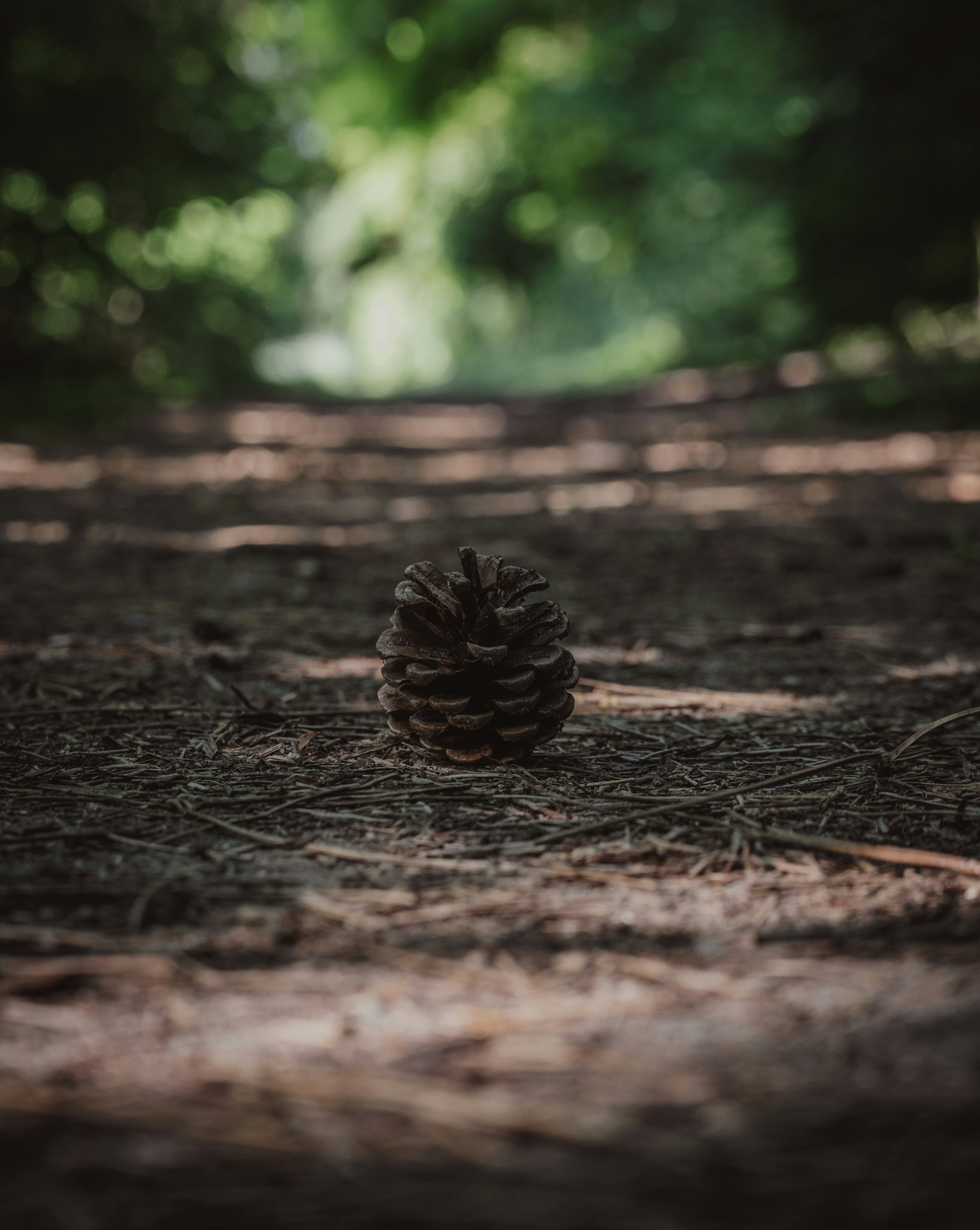 Photo by belhaiza_amine5