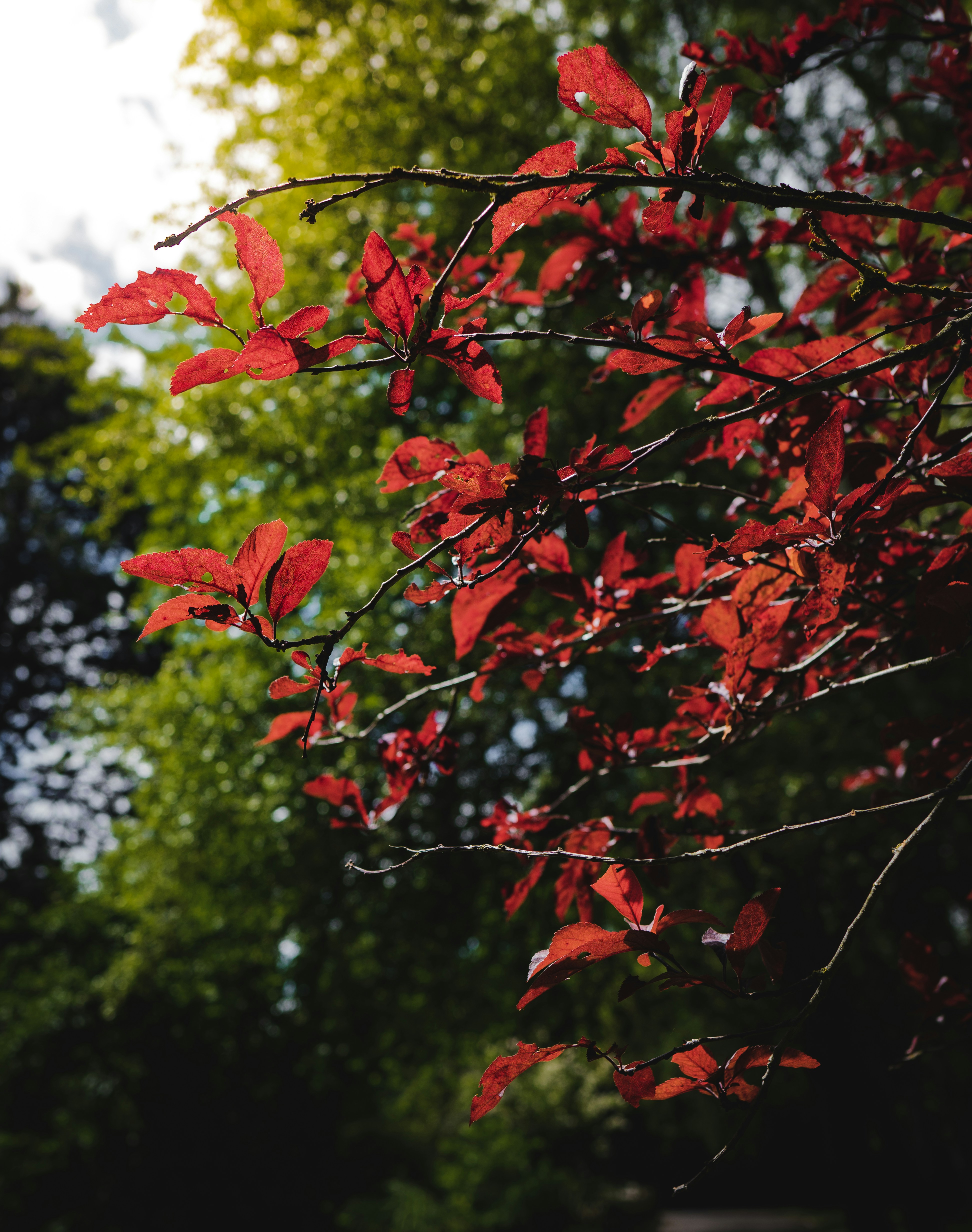 Photo by belhaiza_amine5