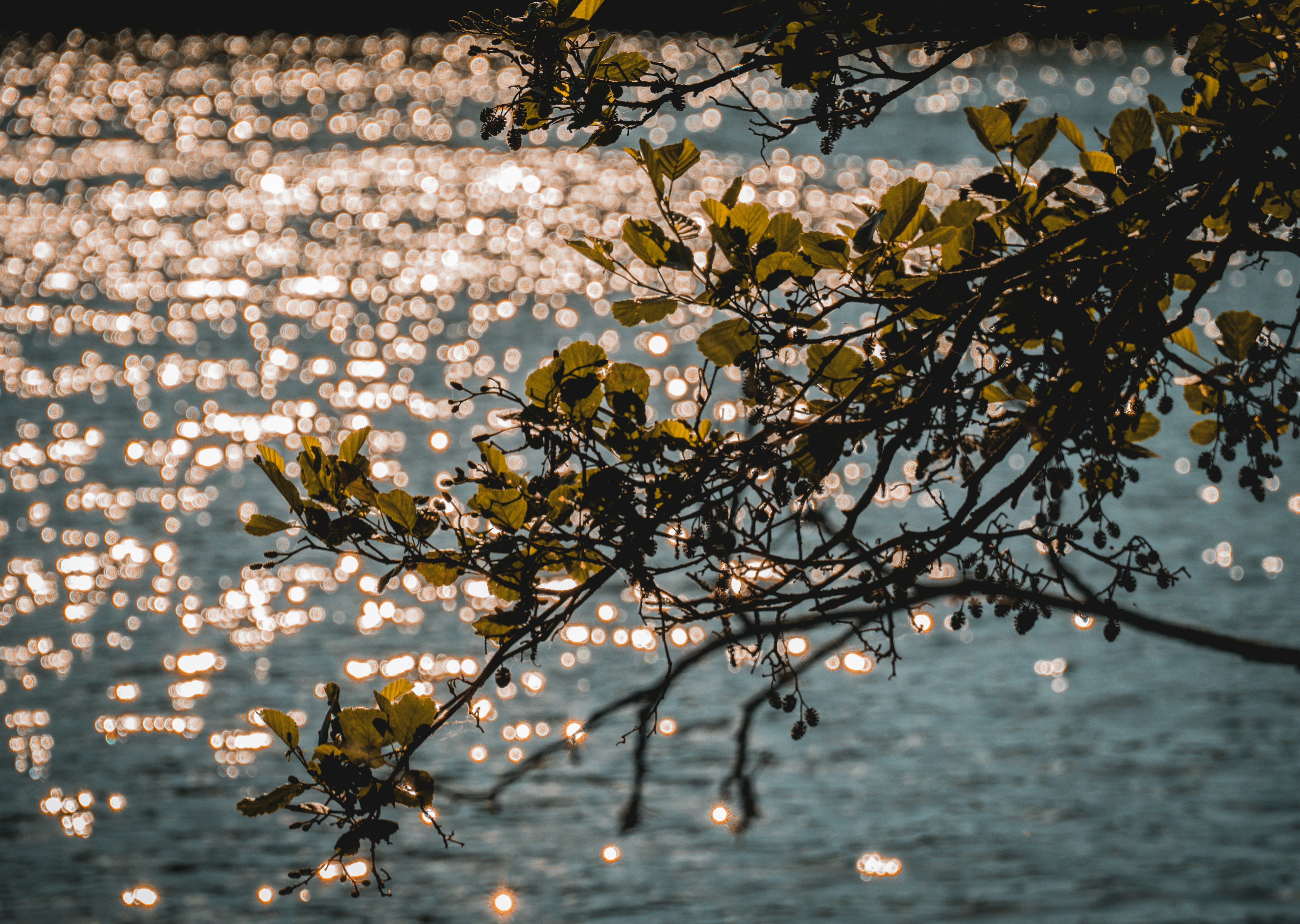 Photo by belhaiza_amine5