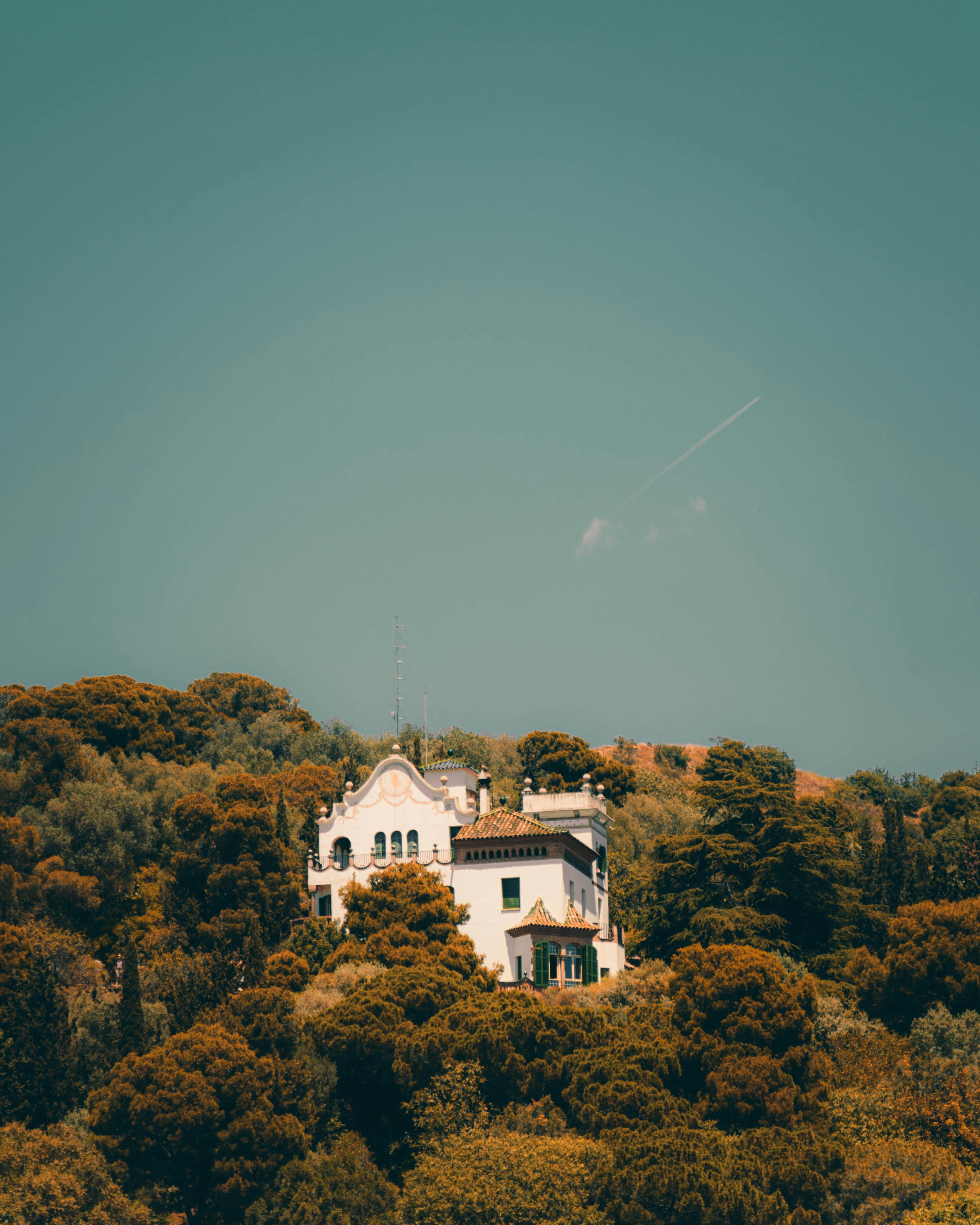 Photo by daniqux