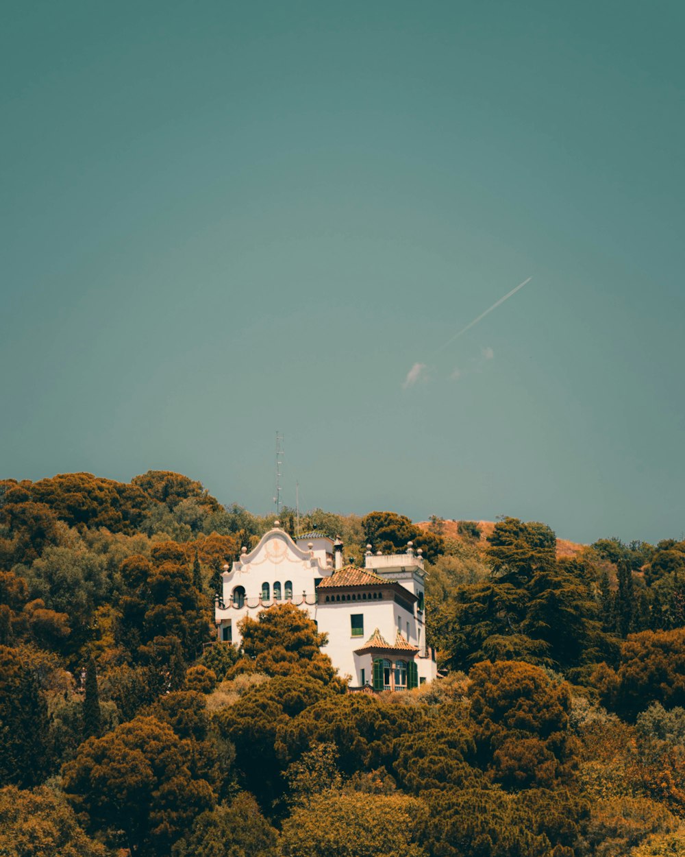 a large white building surrounded by trees