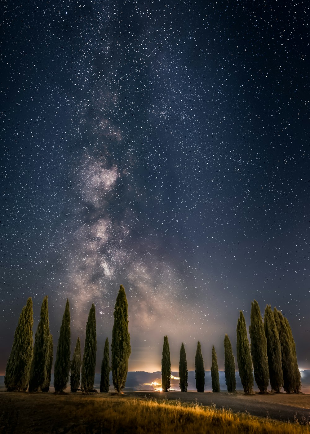um grupo de árvores com a Via Láctea no céu