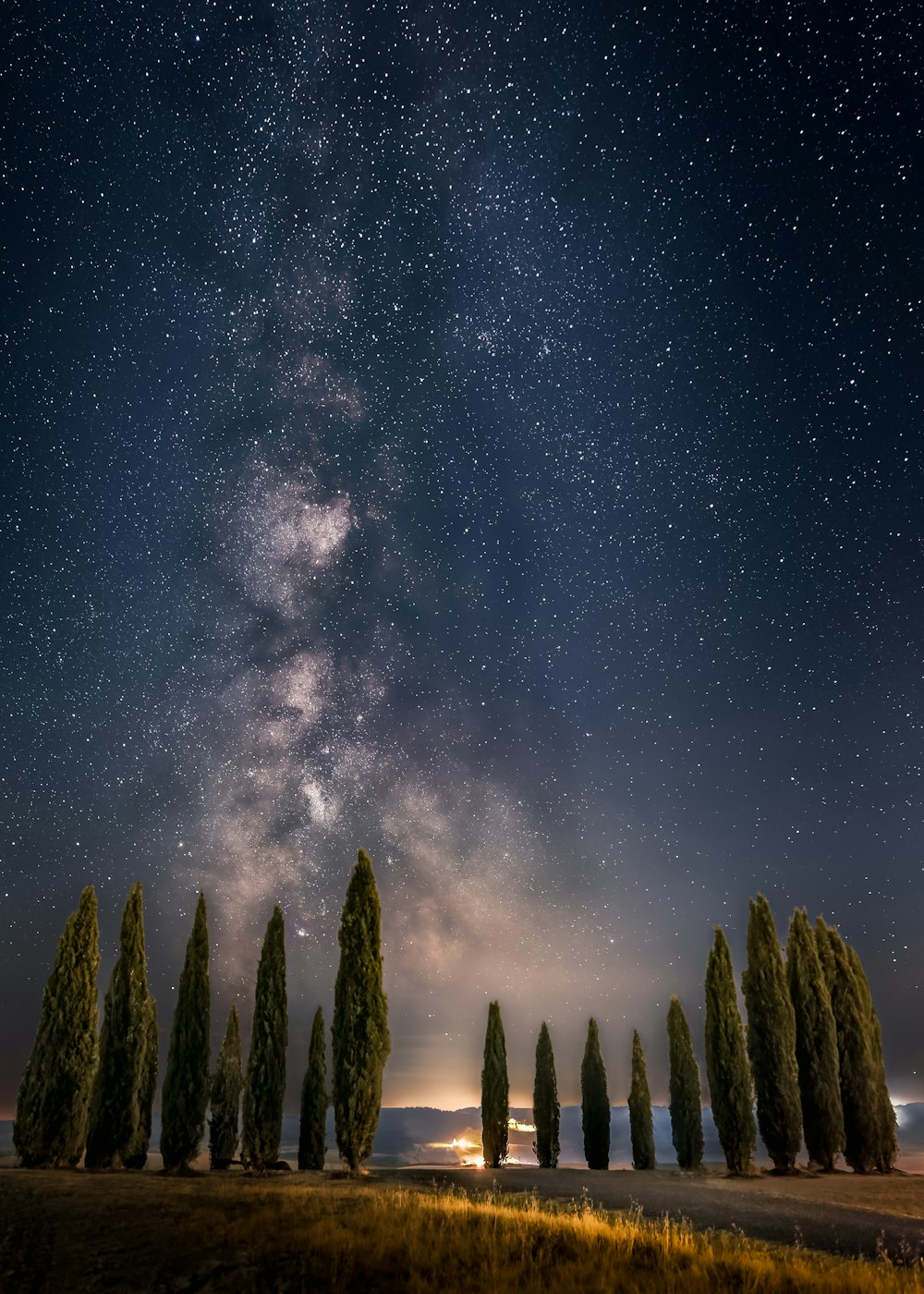 Un gruppo di alberi con la Via Lattea nel cielo