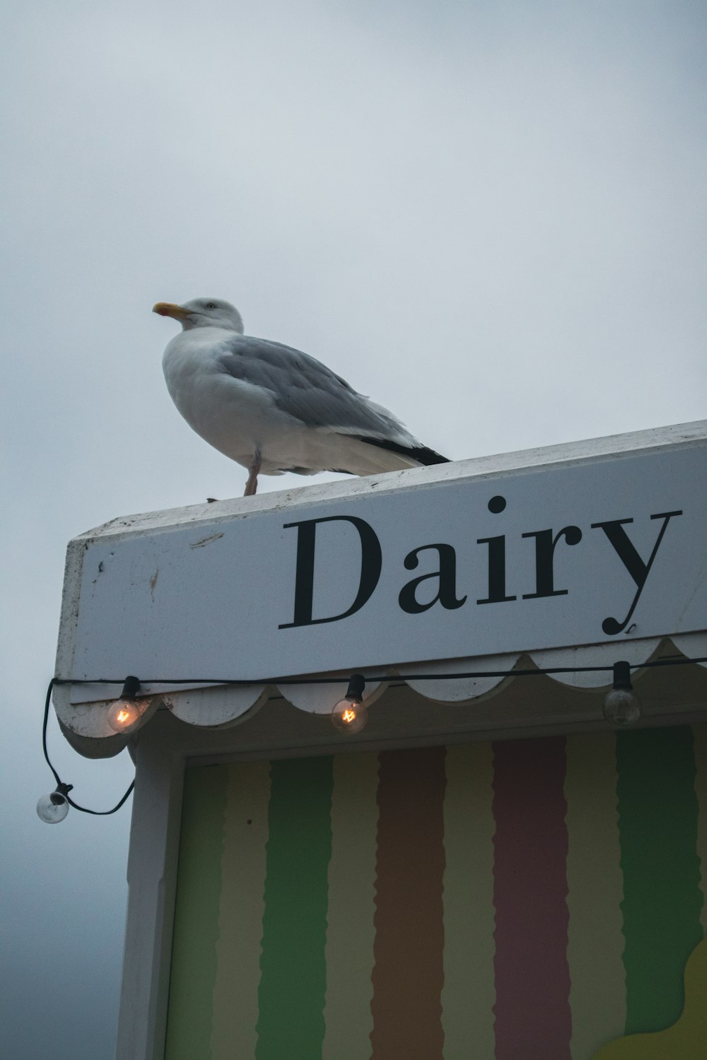 Ein Vogel auf einem Schild