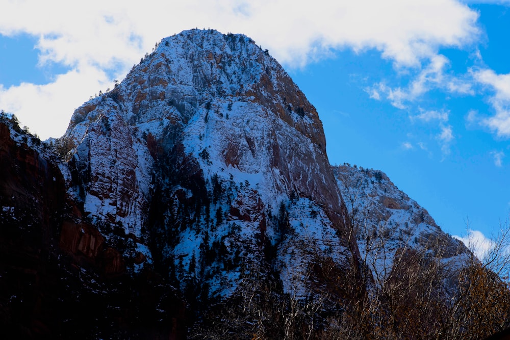 a rocky mountain with trees