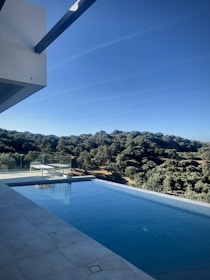 a pool with trees in the background