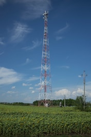 a tall tower in a field