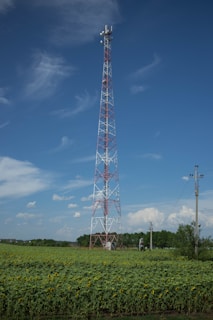 a tall tower in a field