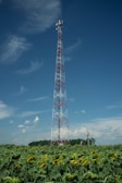 a tall tower with many flowers in front of it