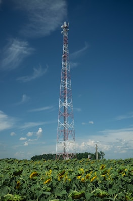 a tall tower with many flowers in front of it