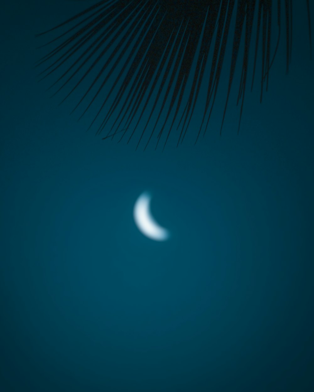 a crescent moon in a dark sky