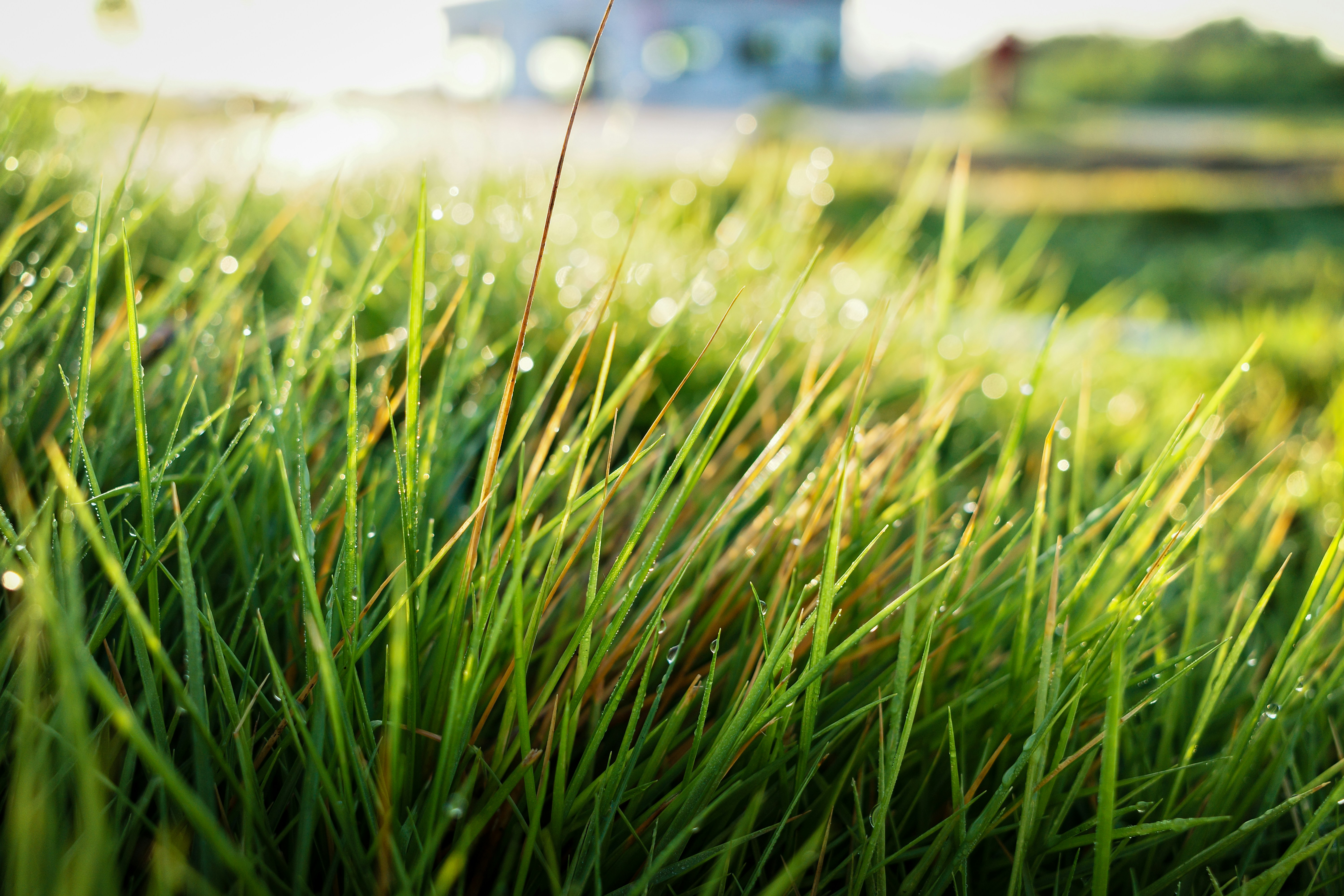 Photo by wenyongfeng