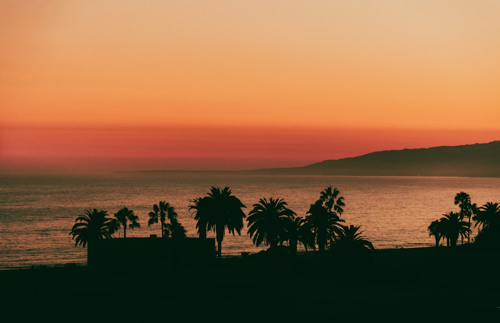 a body of water with trees and a sunset in the background