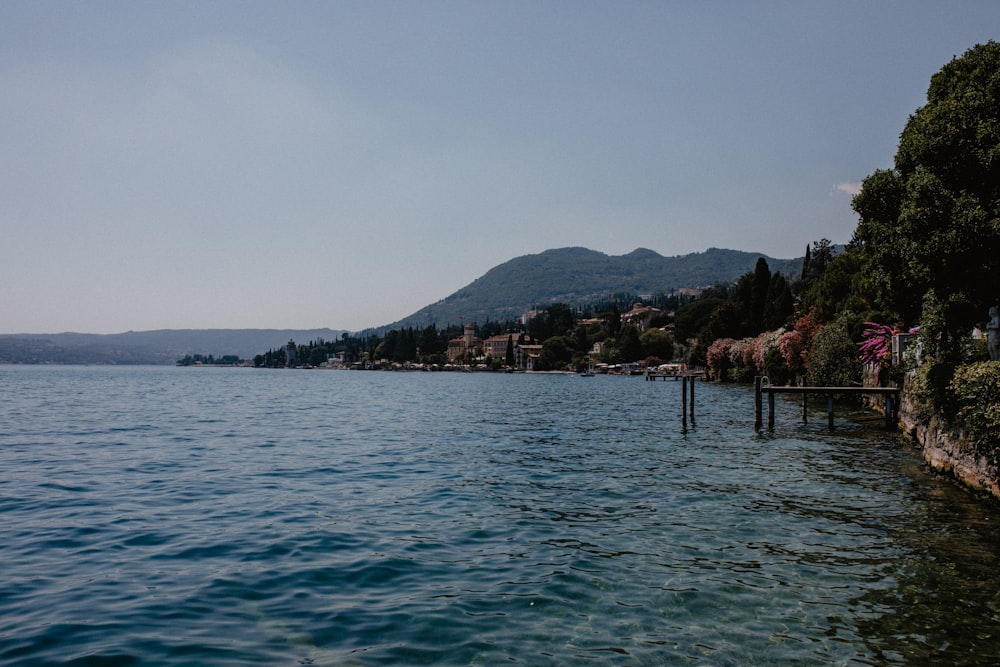 a body of water with trees and buildings along it