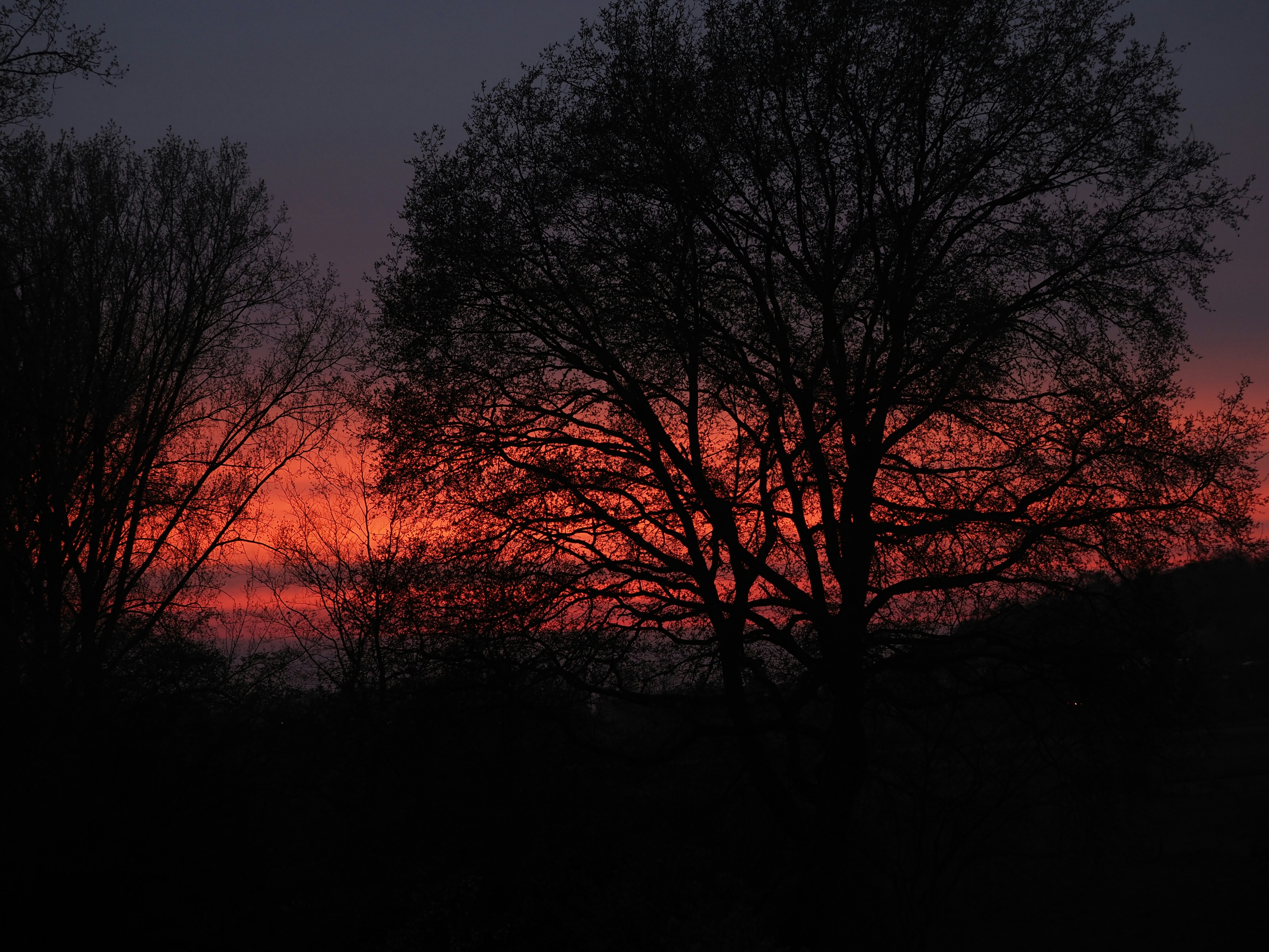 Photo by siemon_hmbrx