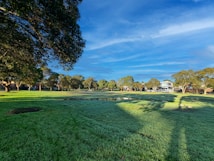 A serene park setting with lush green grass and scattered trees under a clear blue sky. Residential houses line the background, partially shaded by the trees. The sunlight creates shadows across the grassy area, enhancing the peaceful atmosphere.