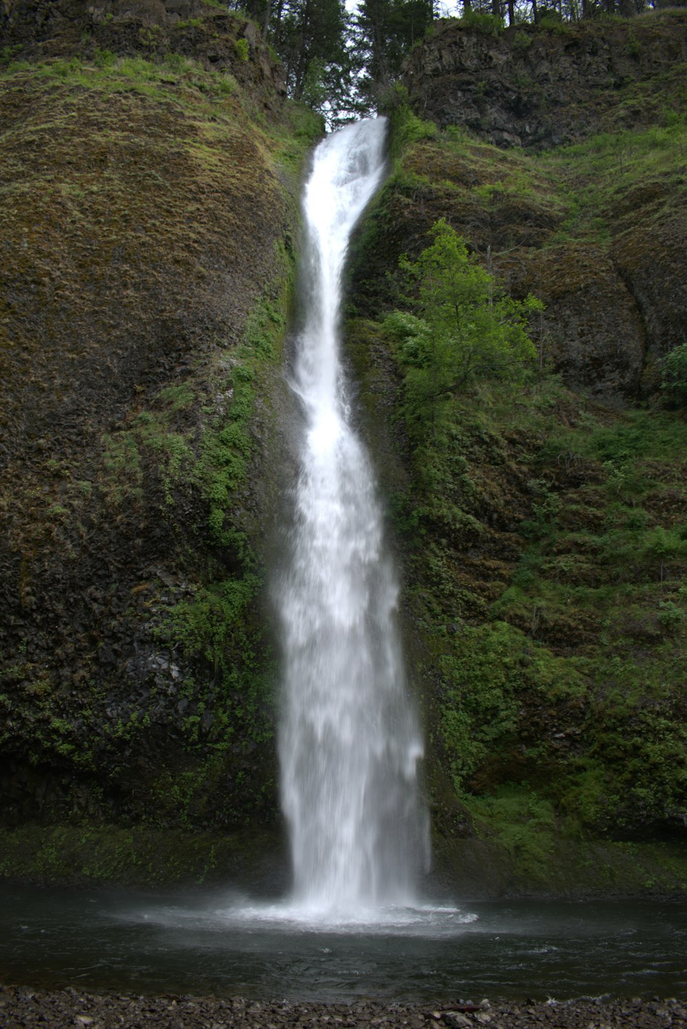 a waterfall in a forest