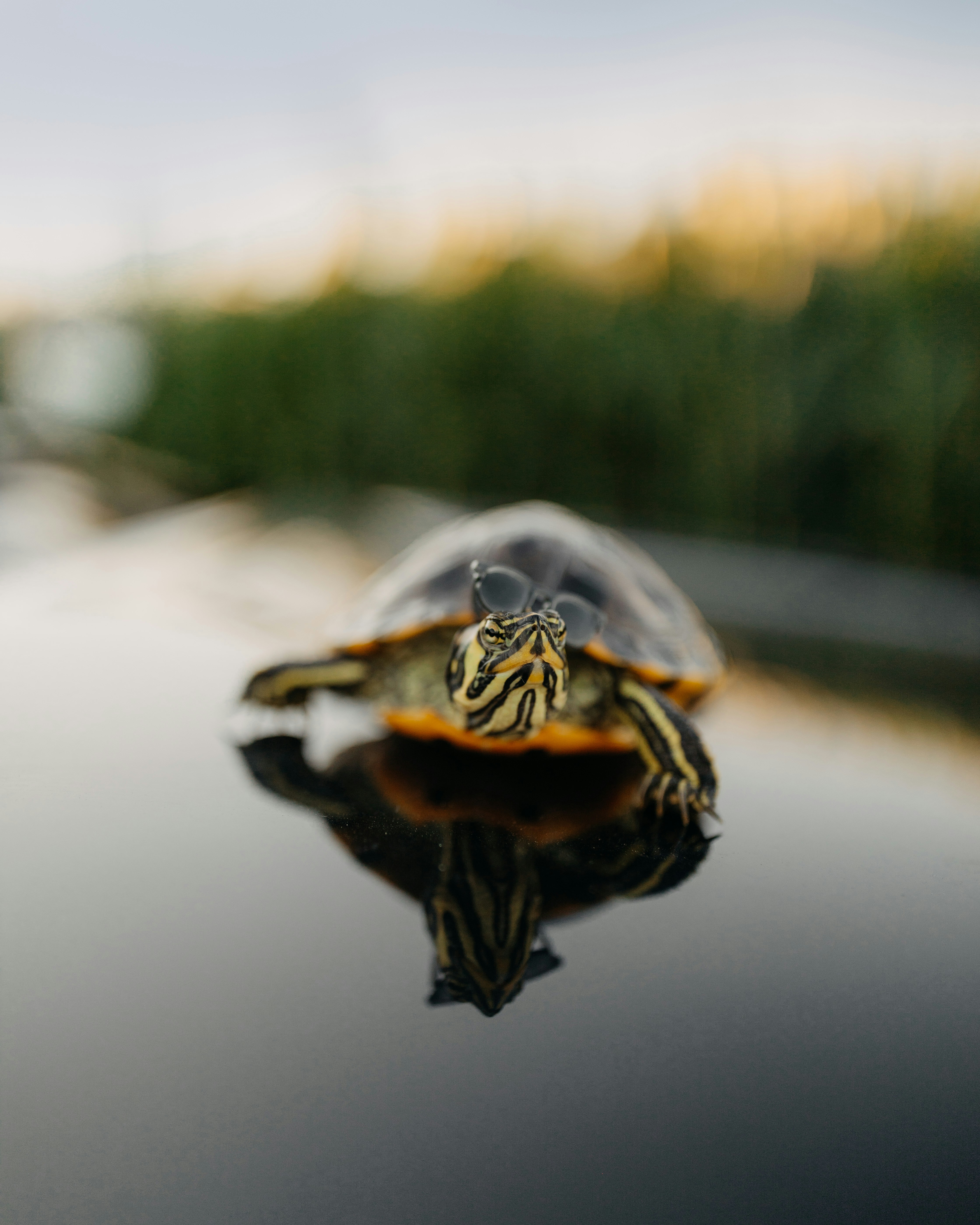 Photo by brittneyweng