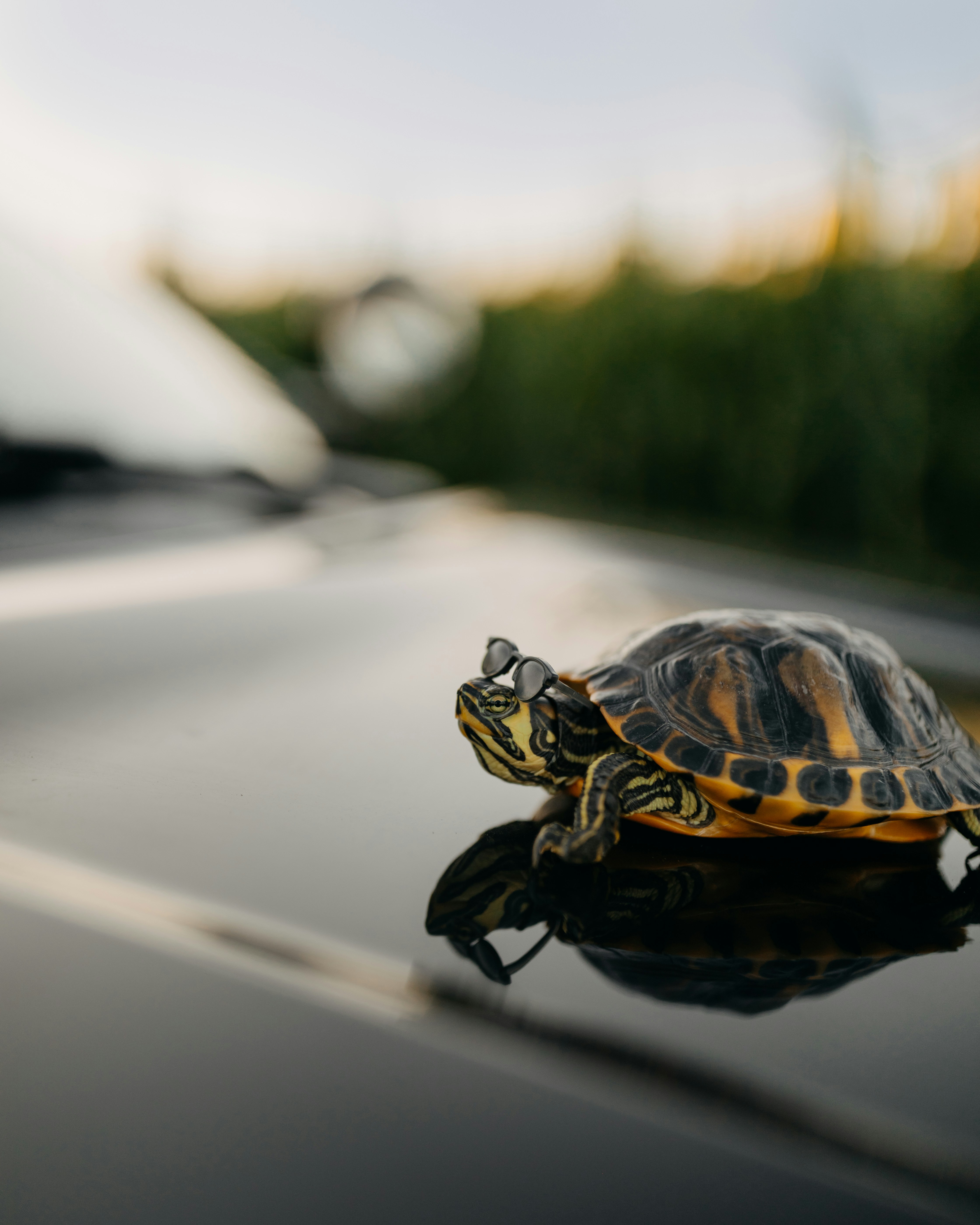 Photo by brittneyweng