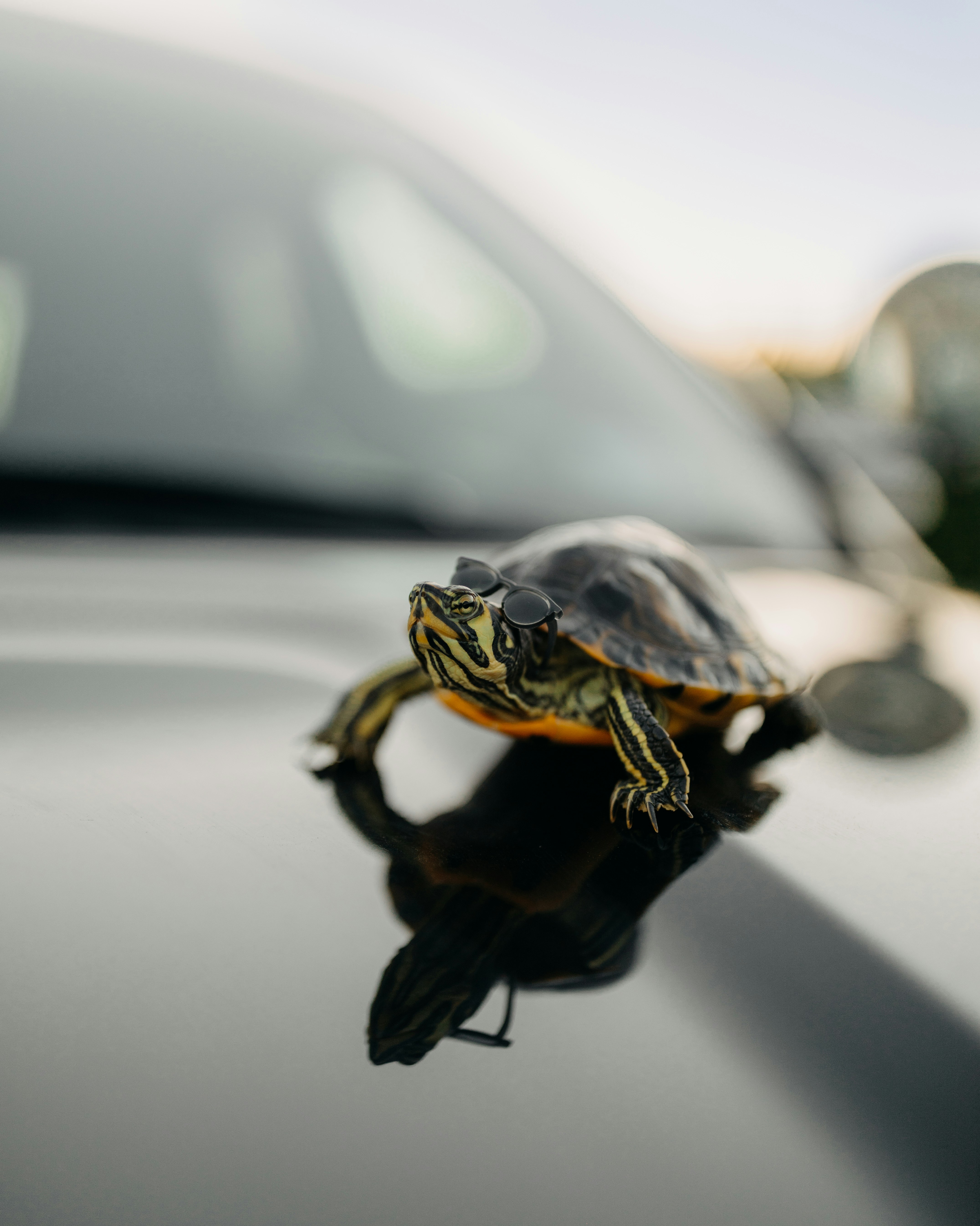 Photo by brittneyweng