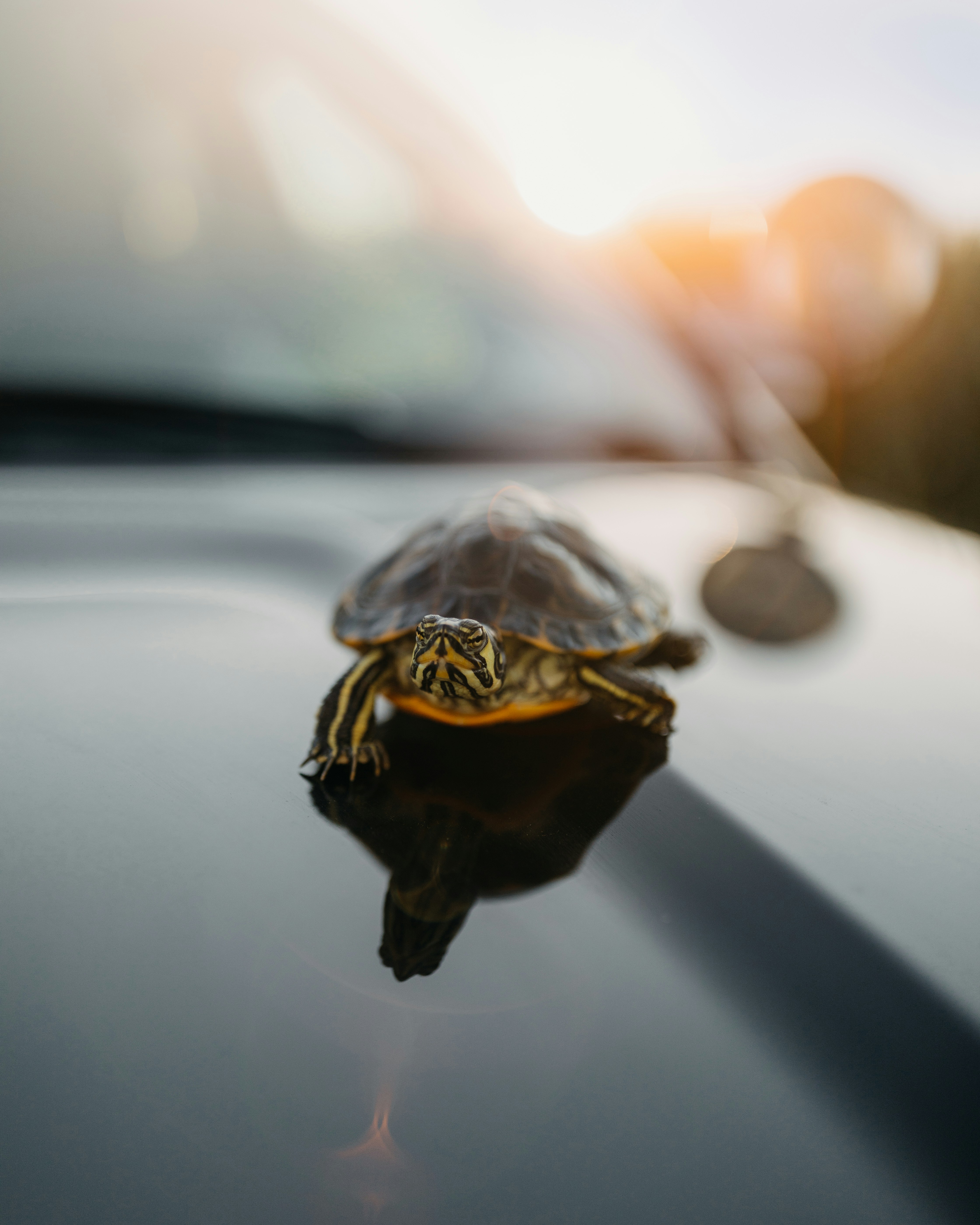 How to stop nagging husband