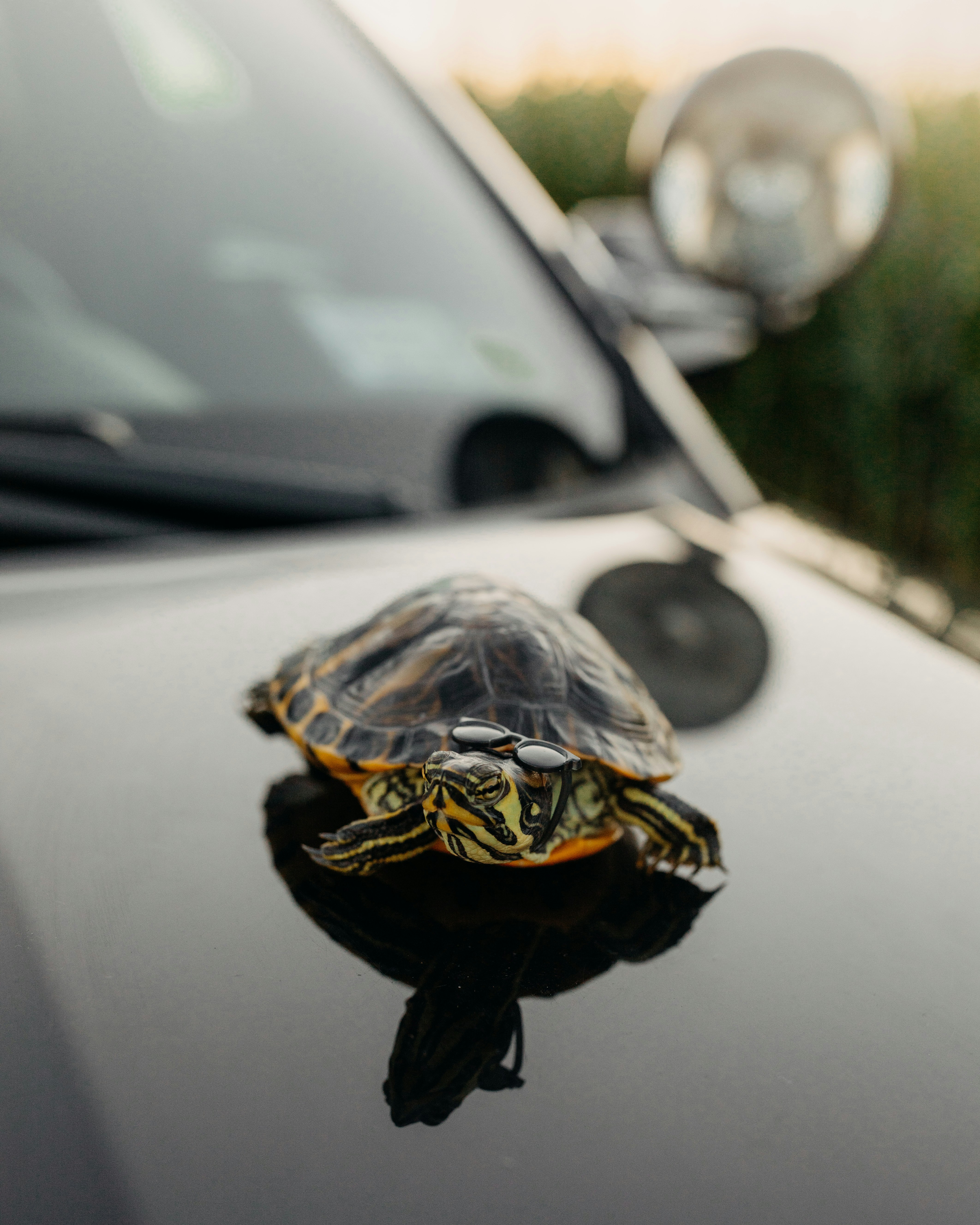 Photo by brittneyweng